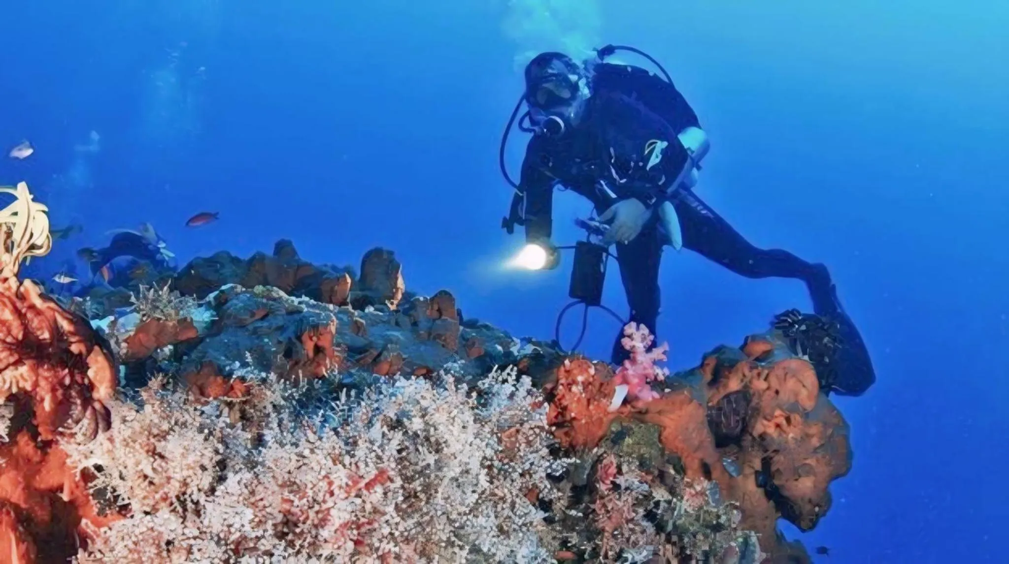 Activities in Dewantara Boutique Villa Resort Bali