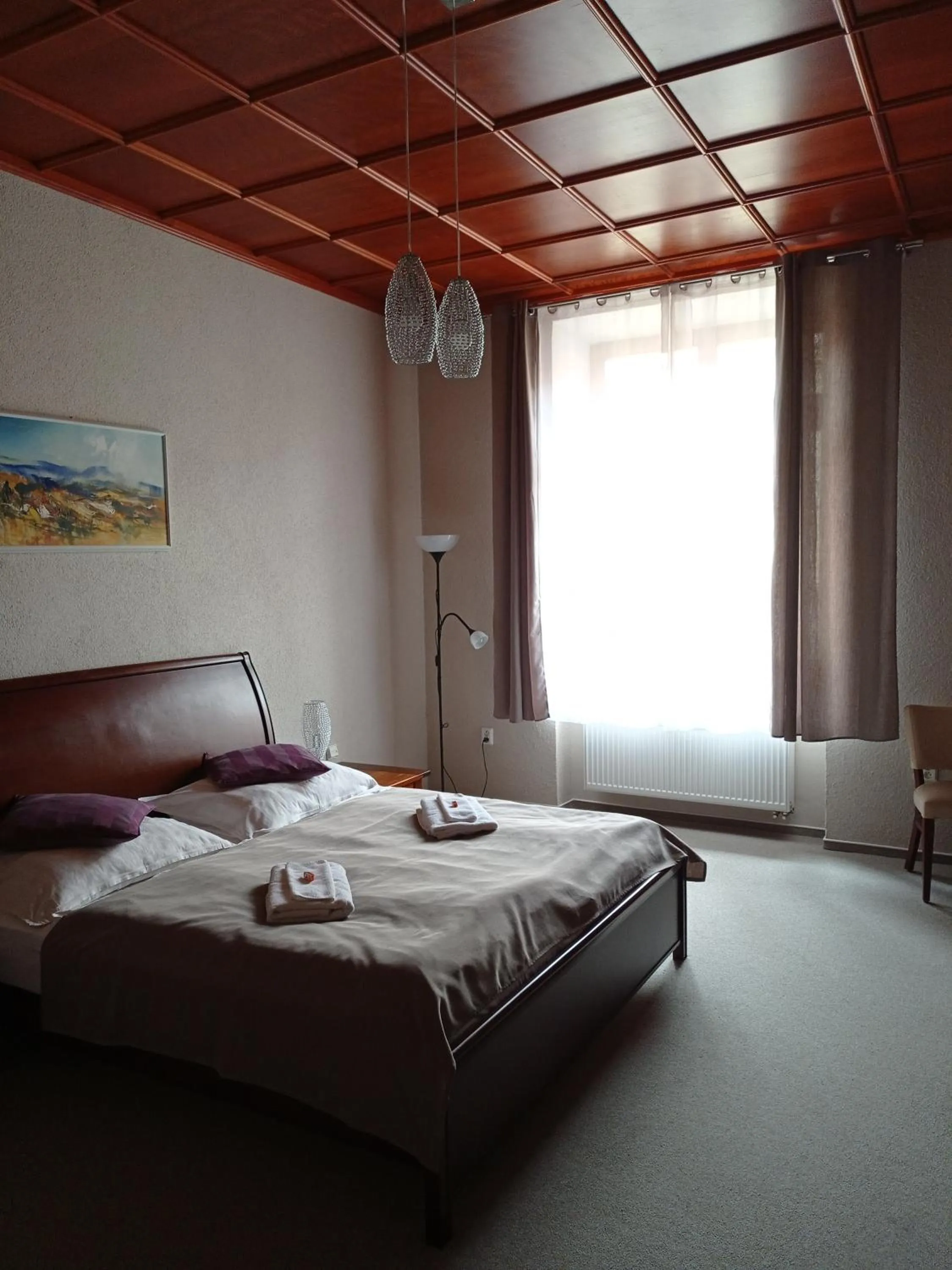 Bed in Hotel na Kafkové