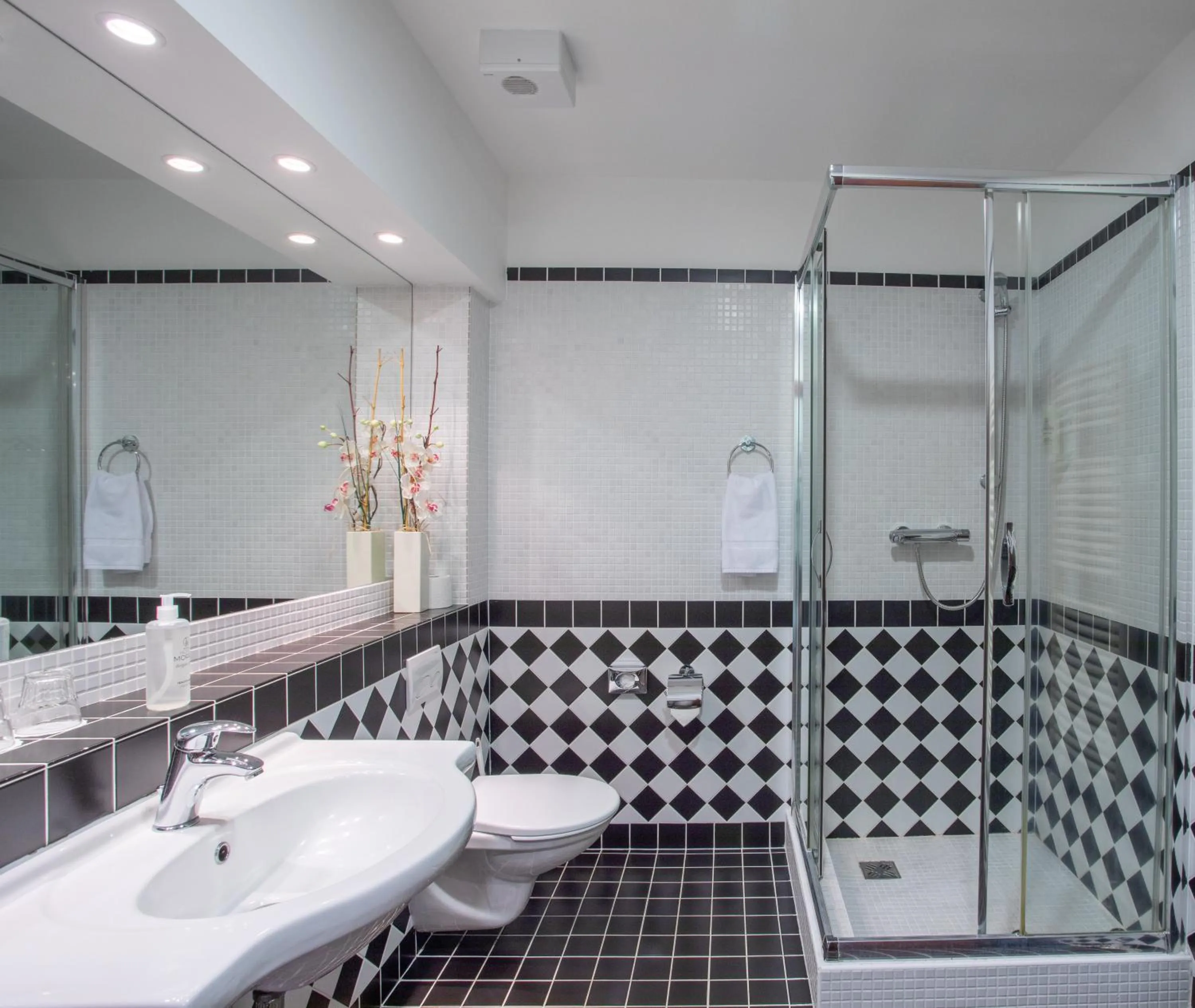 Shower in Wellness Golf Hotel Morris