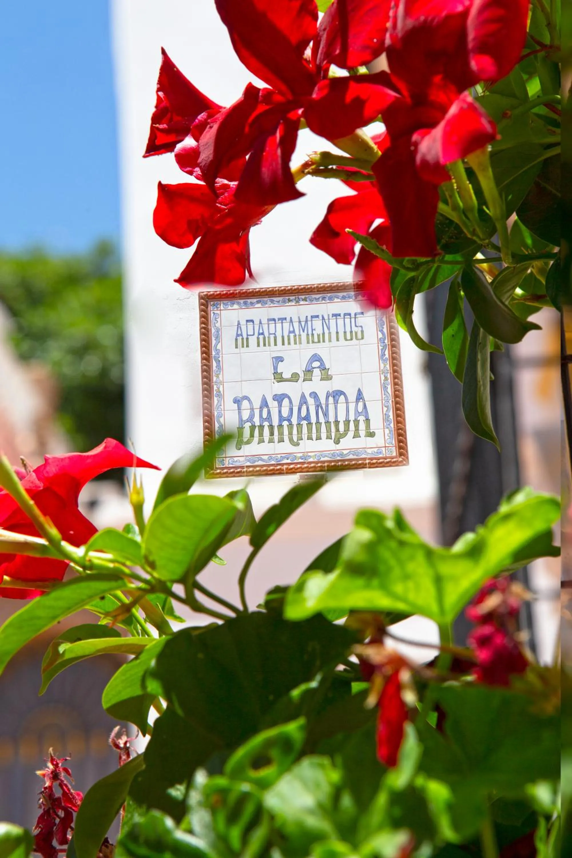 Apartamentos La Baranda