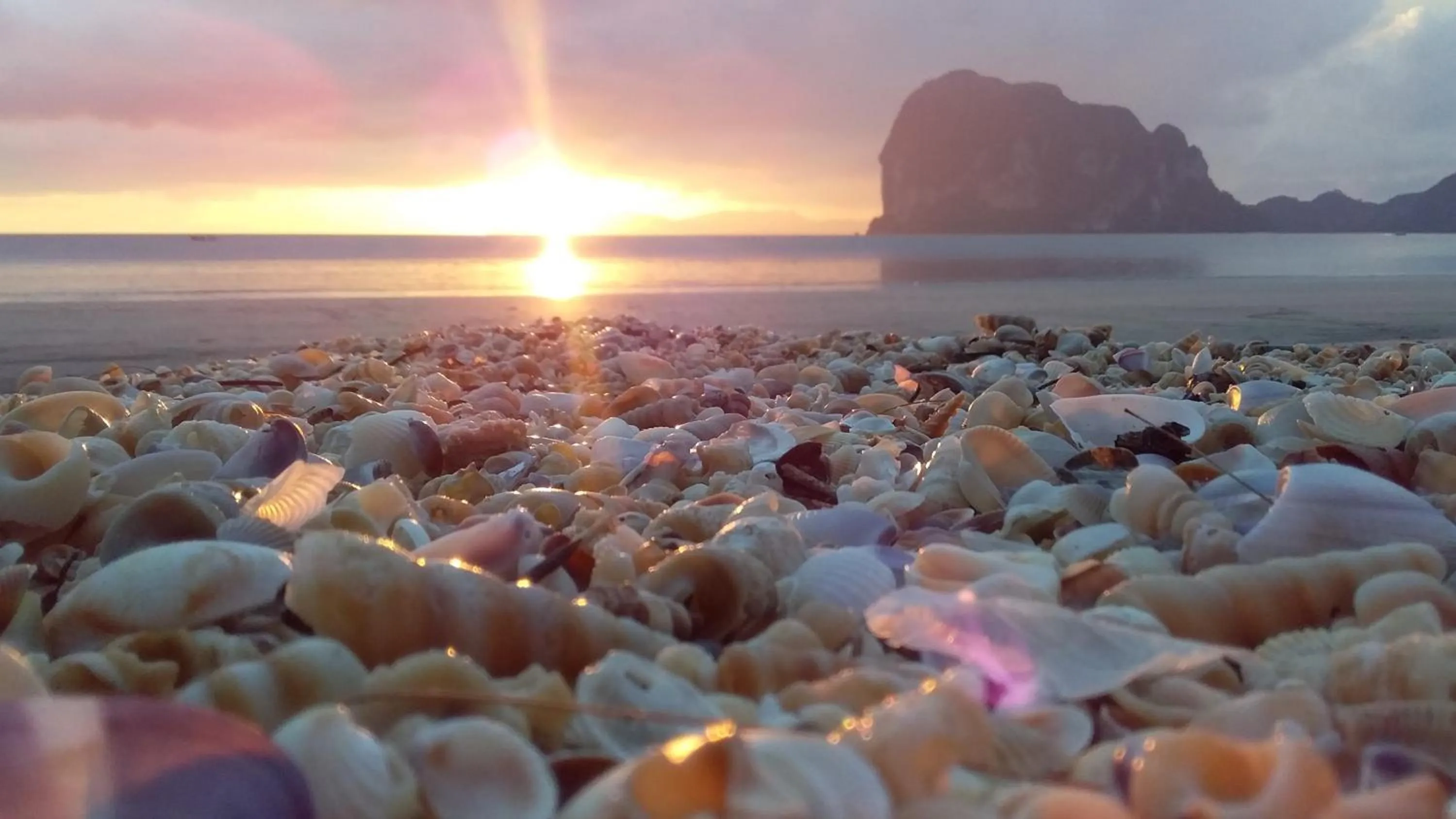 Beautiful Flower Resort