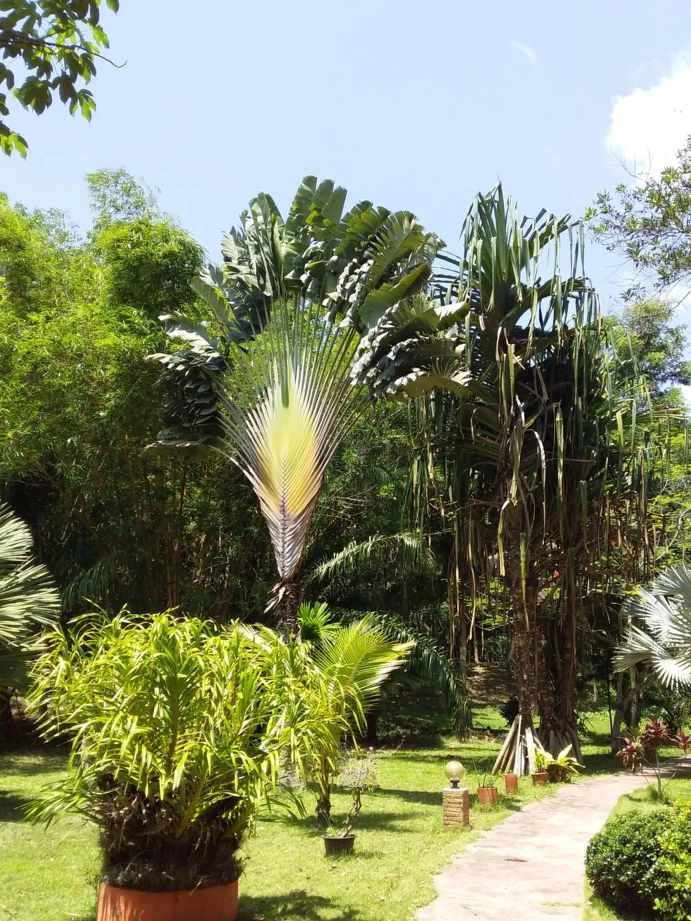 Beautiful Flower Resort