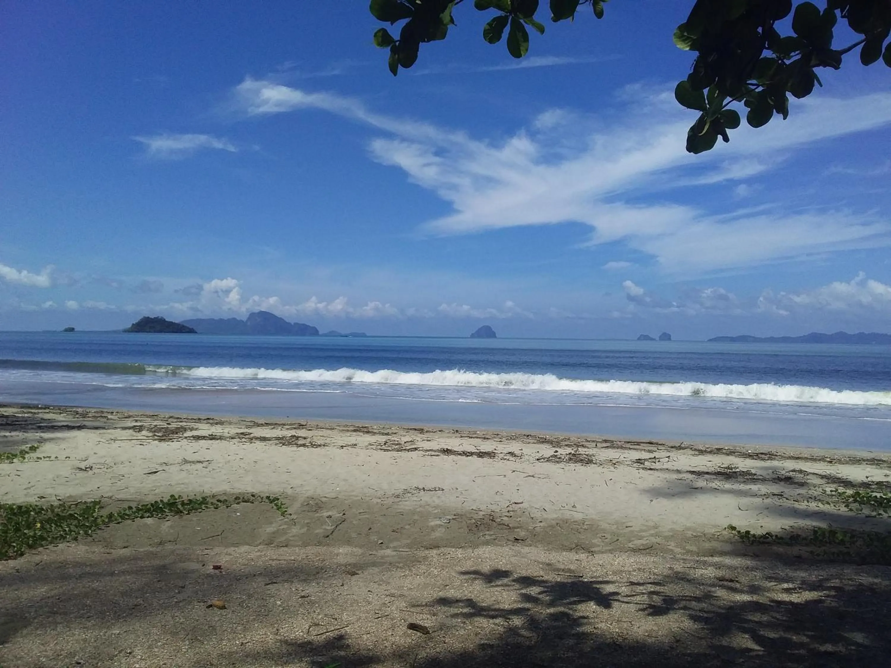 Beautiful Flower Resort