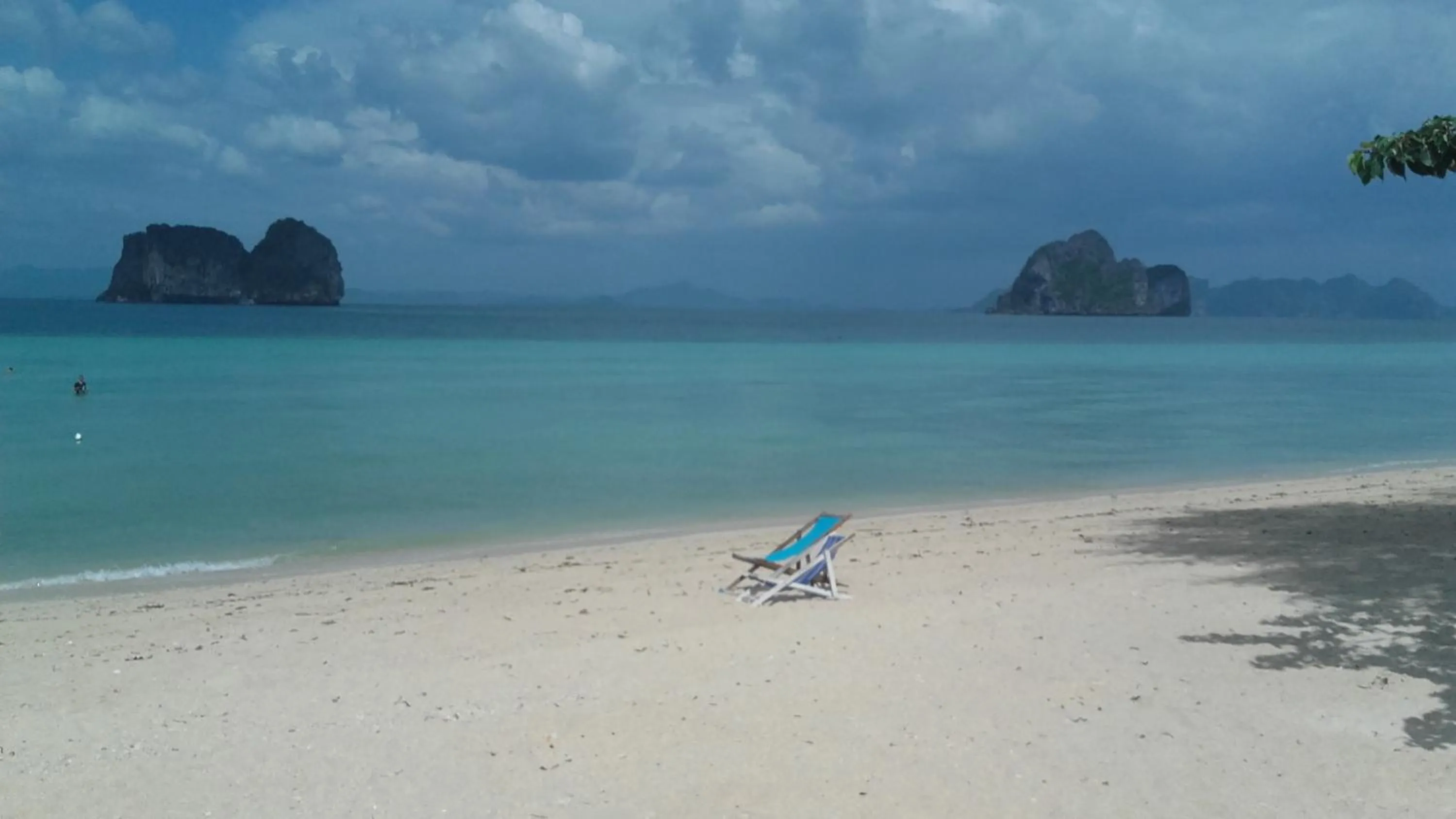 Beautiful Flower Resort