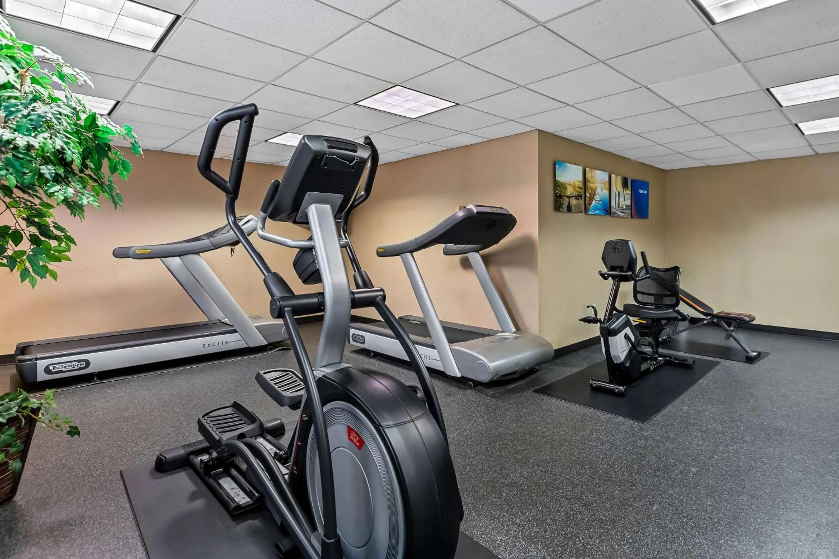 Fitness centre/facilities in Comfort Inn & Suites Somerset - New Brunswick