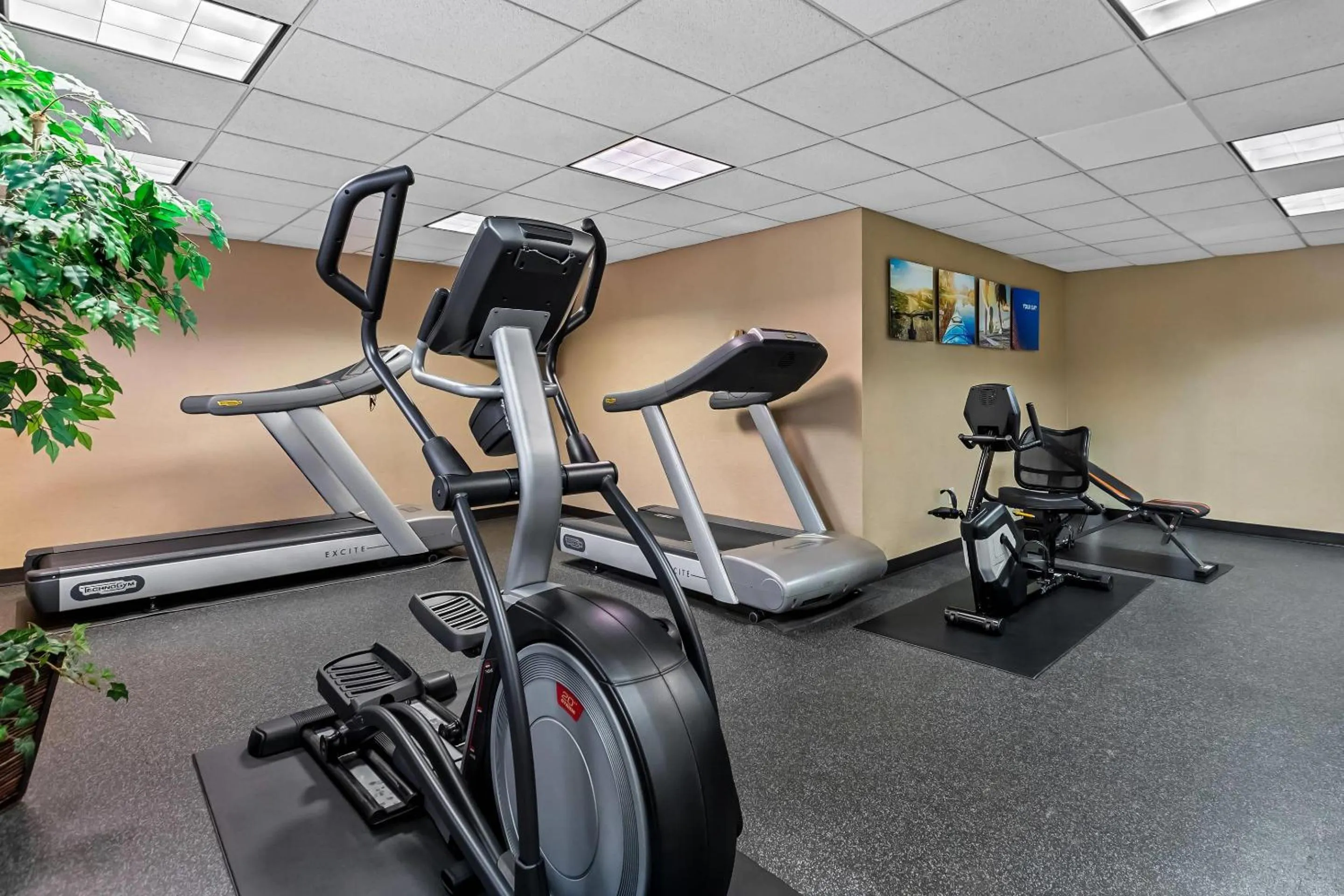 Fitness centre/facilities in Comfort Inn & Suites Somerset - New Brunswick