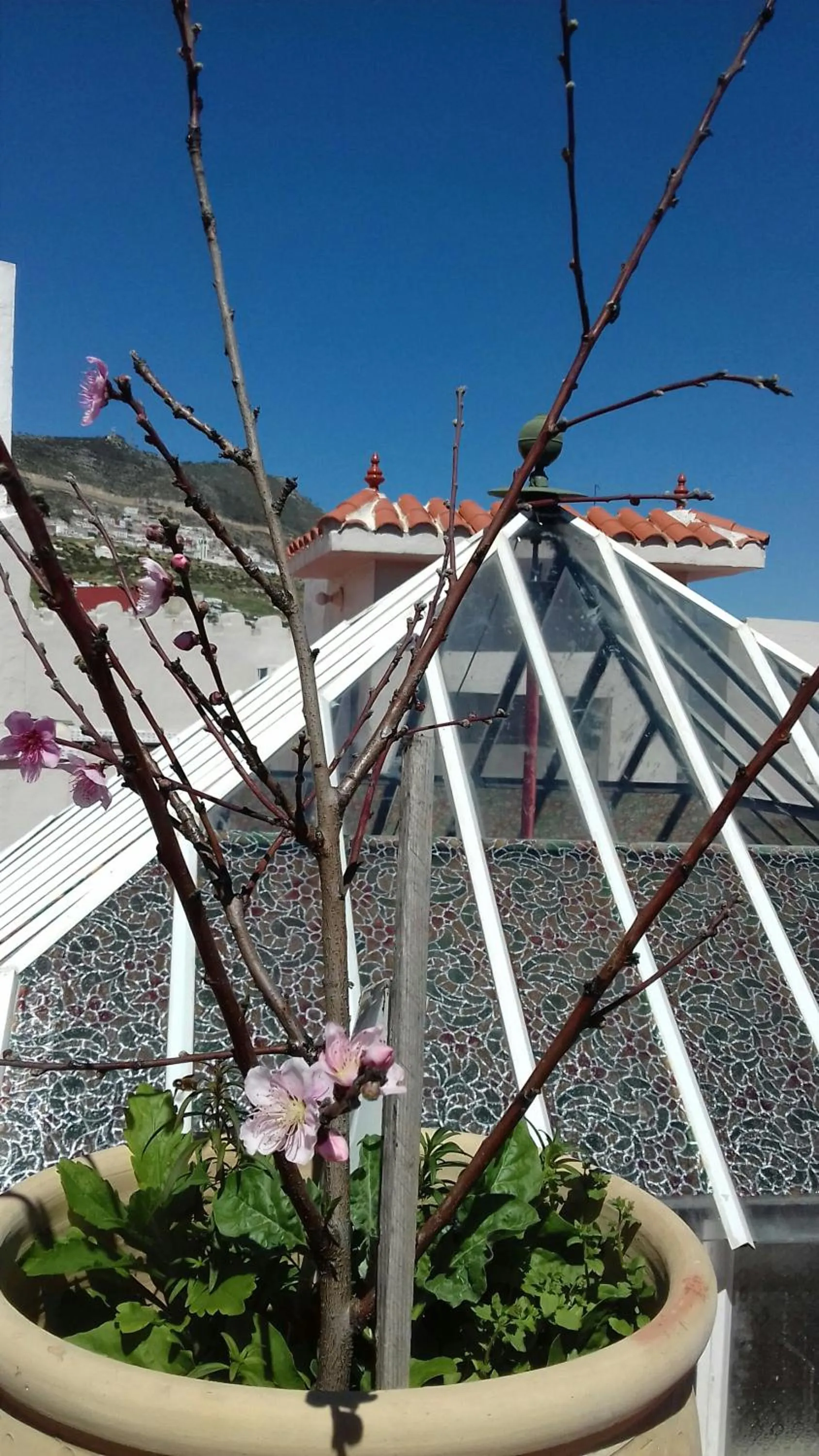 Balcony/Terrace in Riad EL Manantial,Dar Hajjaj,Patrimonio del SXIX