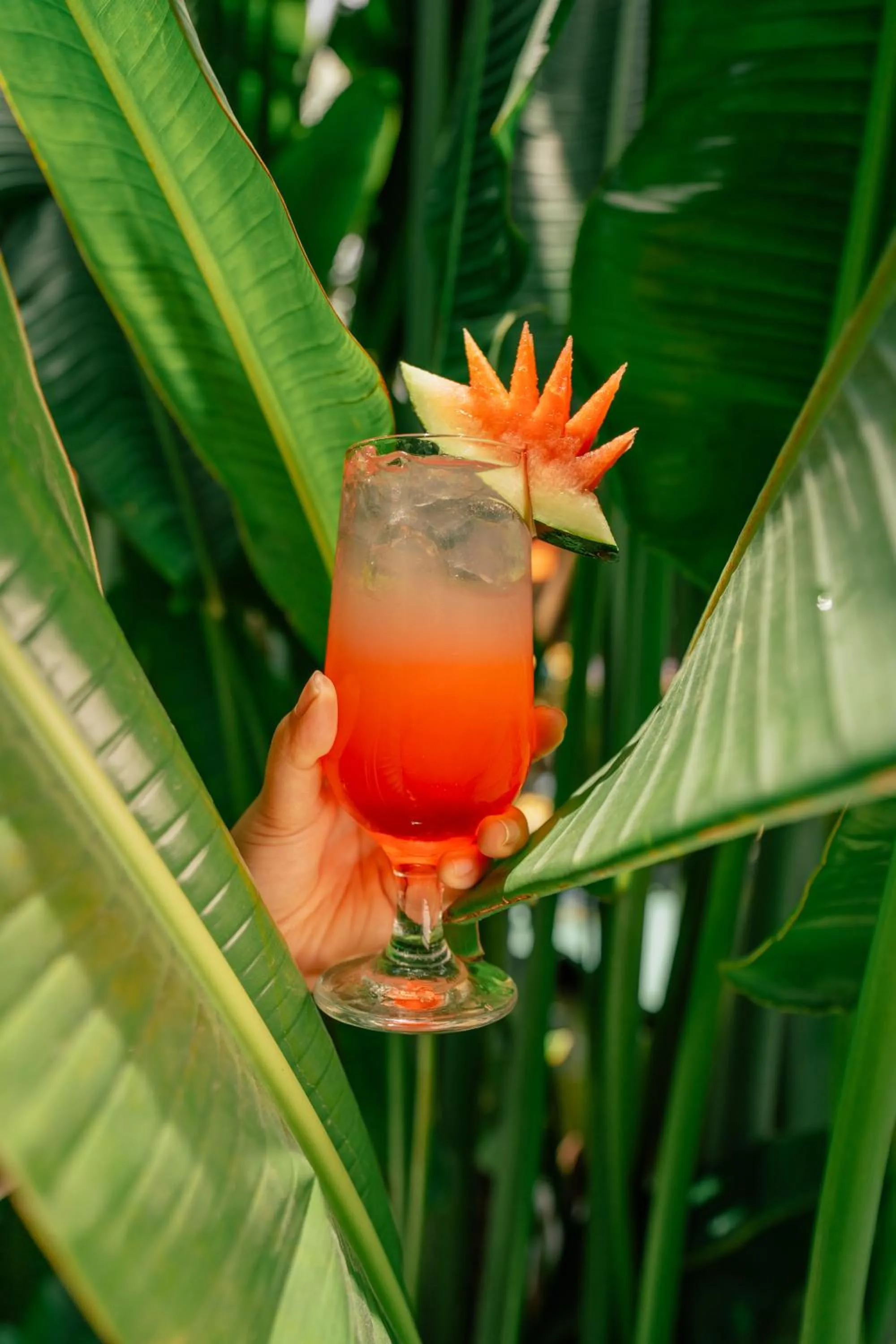 Drinks in Wina Holiday Villa Kuta Bali