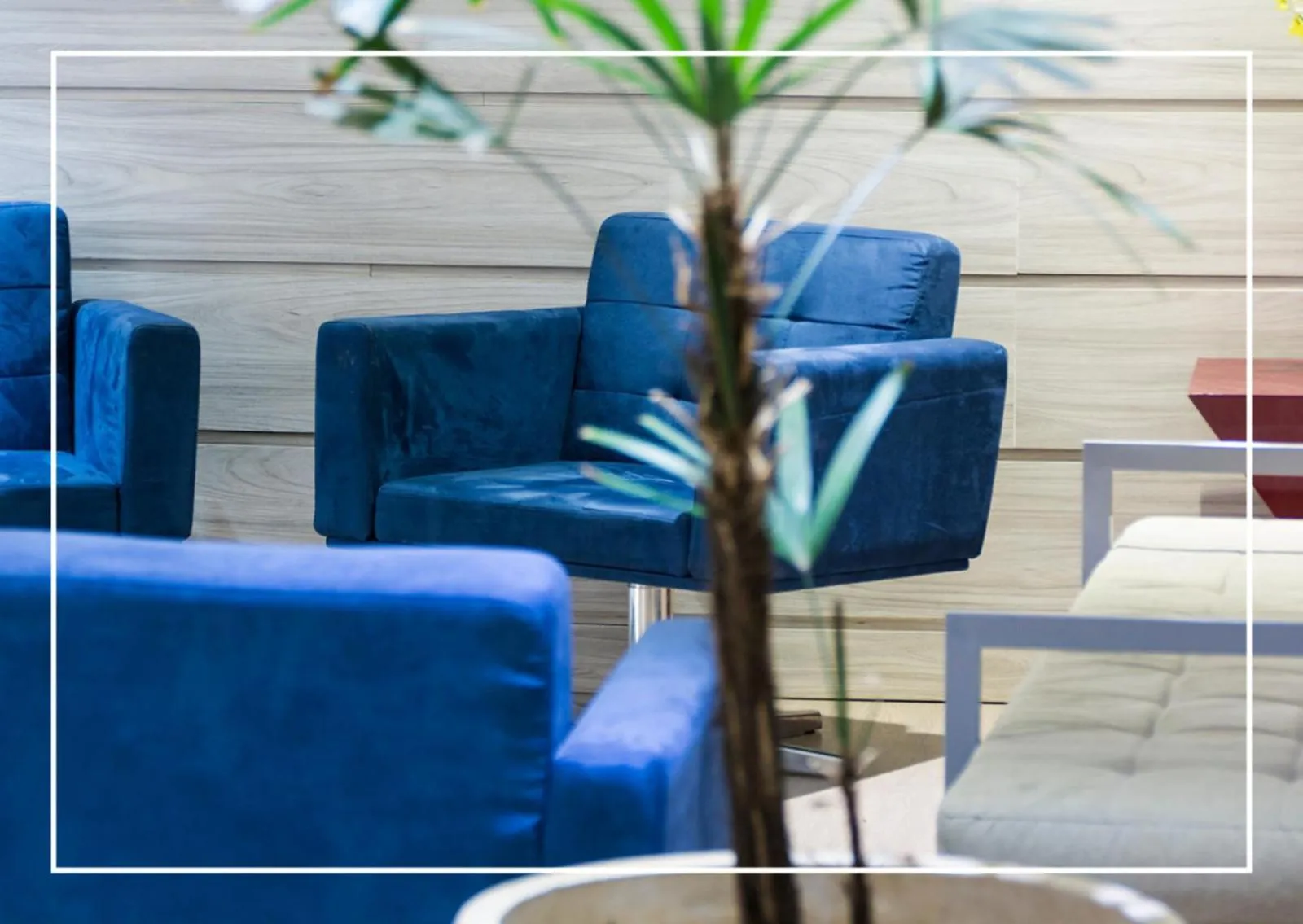 Seating area in Hotel Vila Rica Campinas