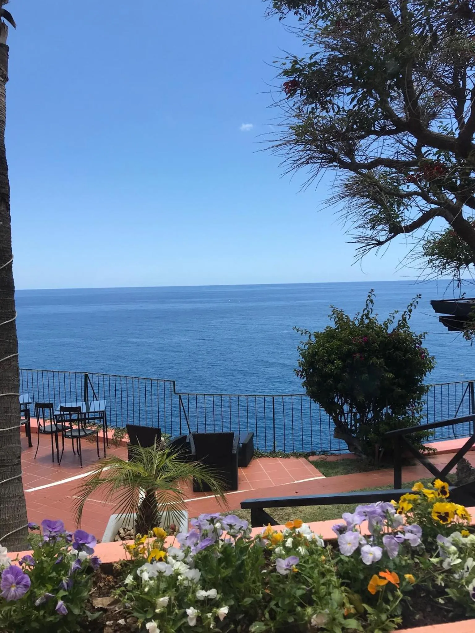 Restaurant/places to eat in Inn & Art Madeira