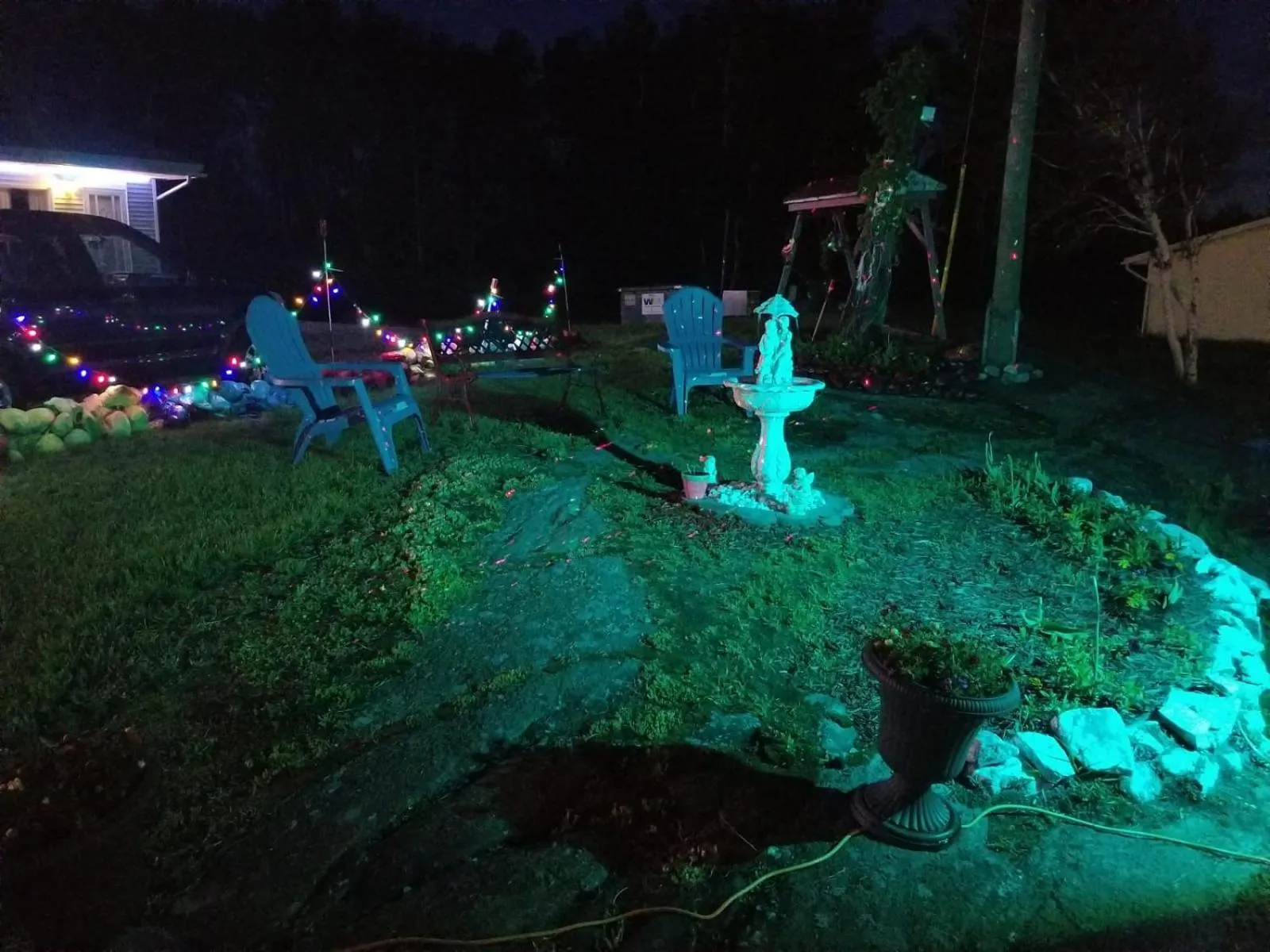 Garden in Norvic Motel