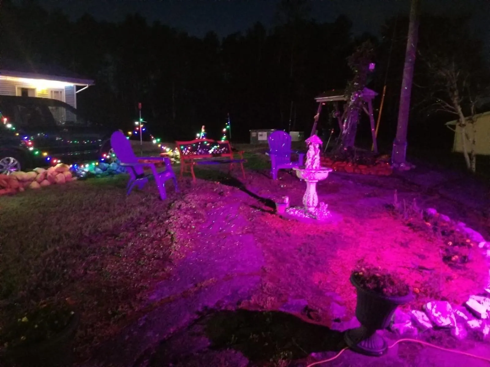 Garden in Norvic Motel