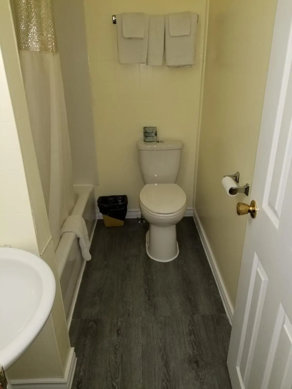 Toilet in Norvic Motel