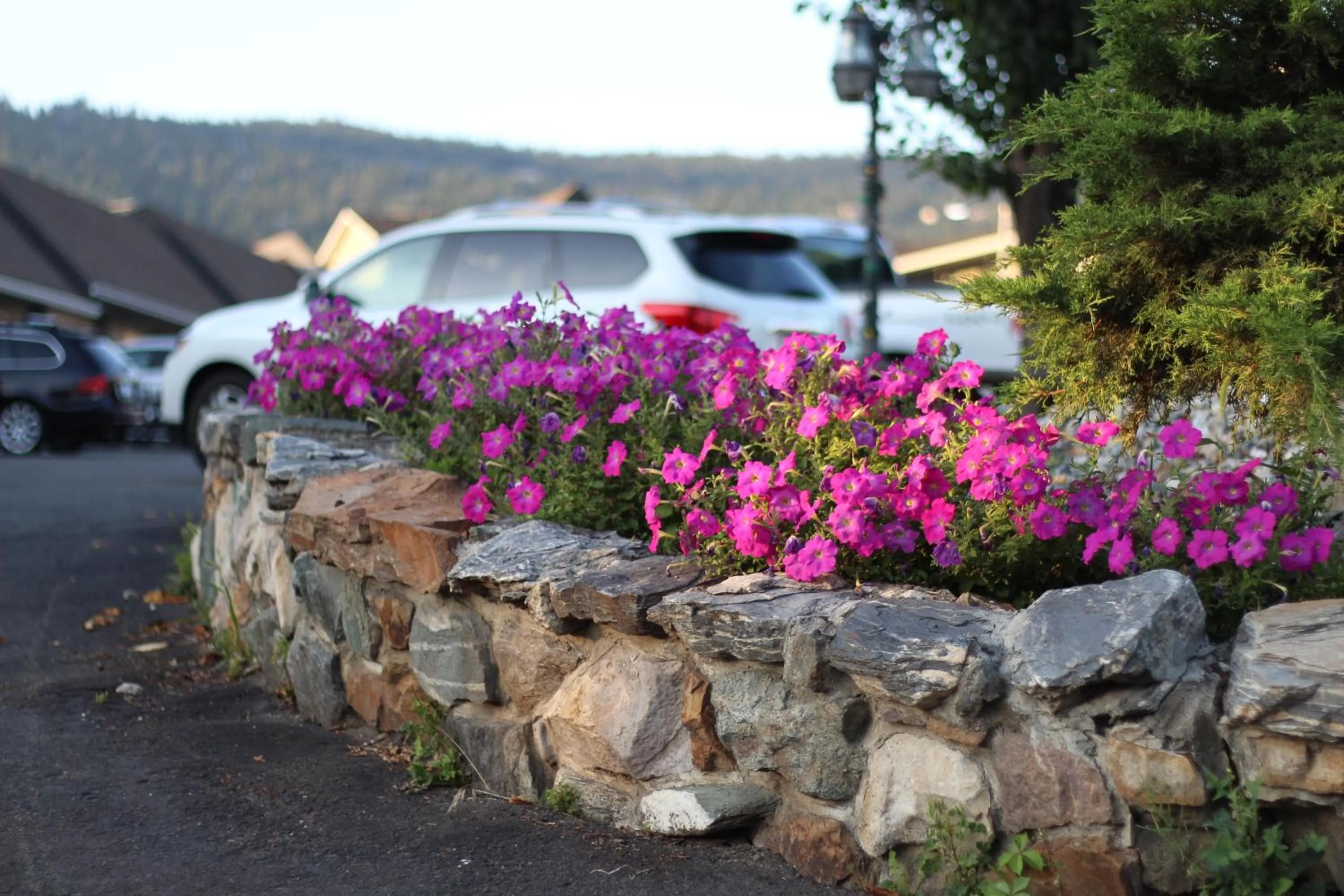 Garden in Best Budget Inn & Suites Kamloops