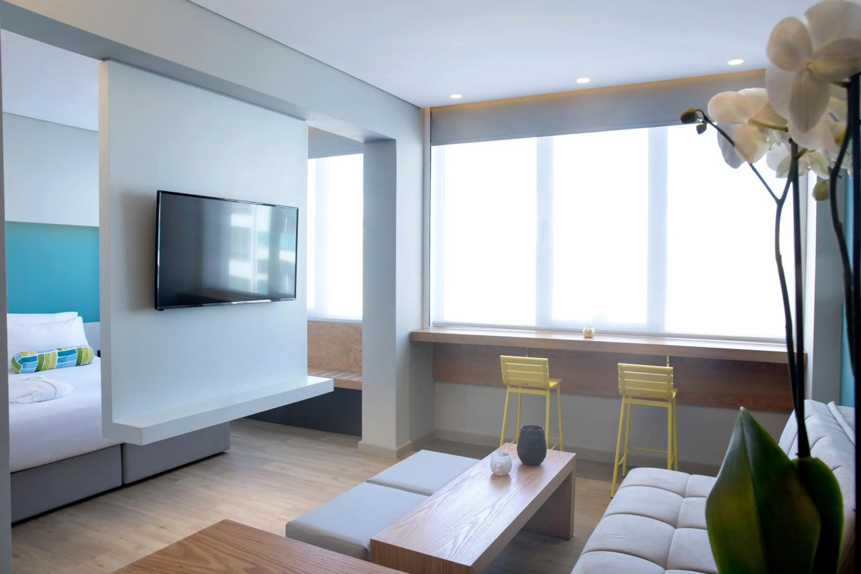 Living room, Bed in Athenaeum K 29