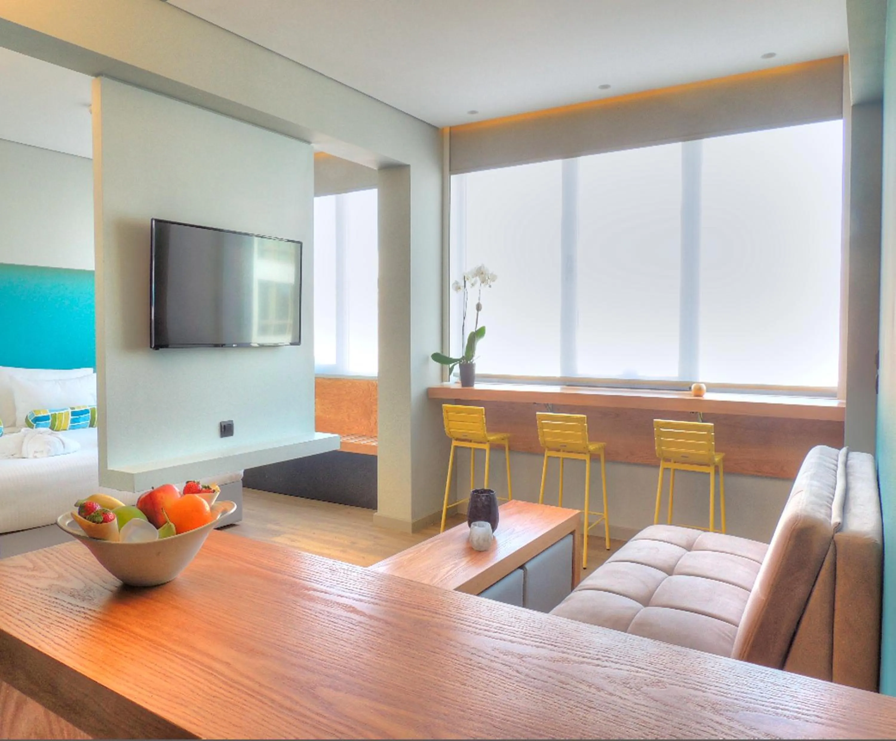 TV and multimedia in Athenaeum K 29