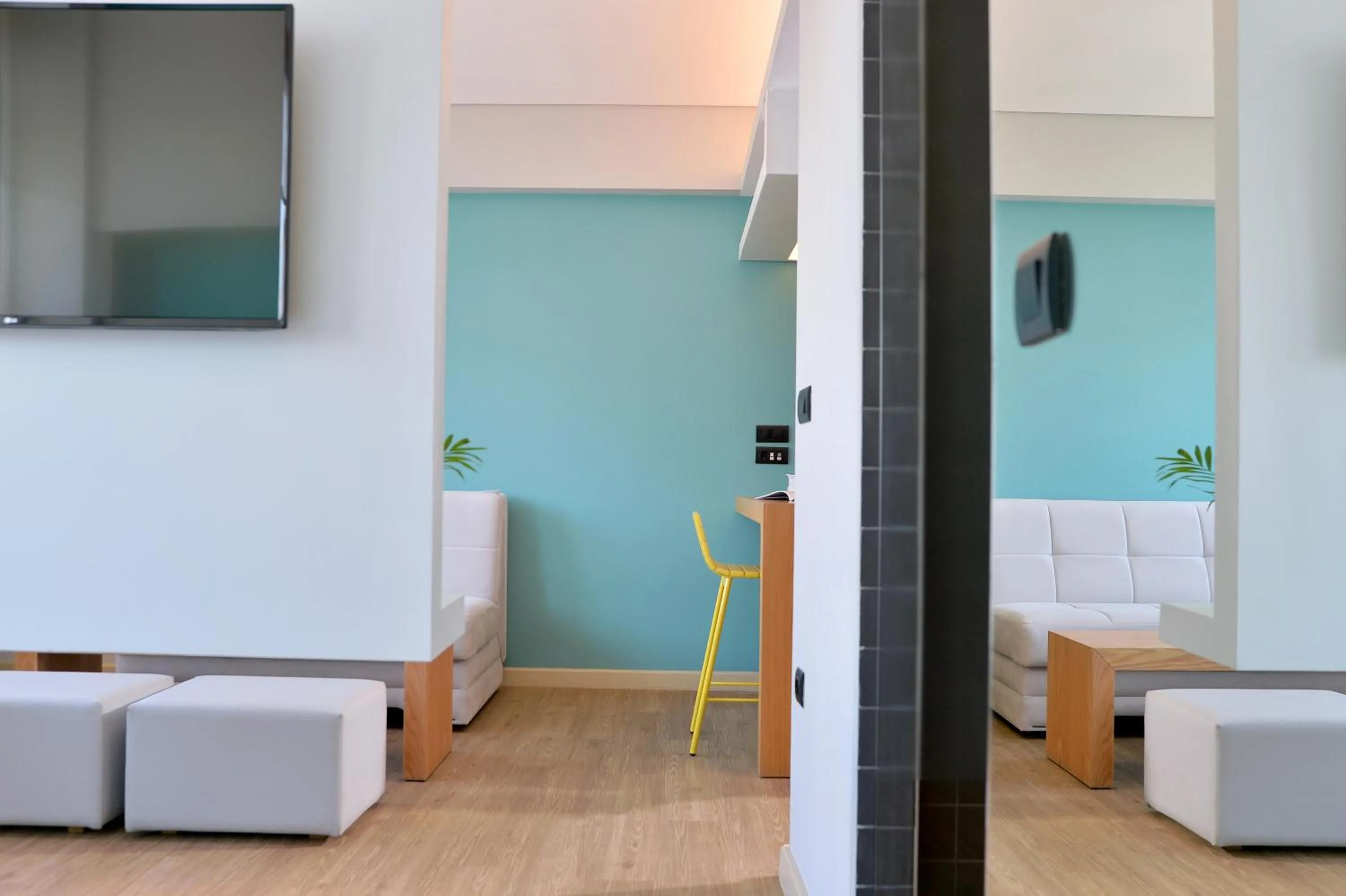 TV and multimedia in Athenaeum K 29