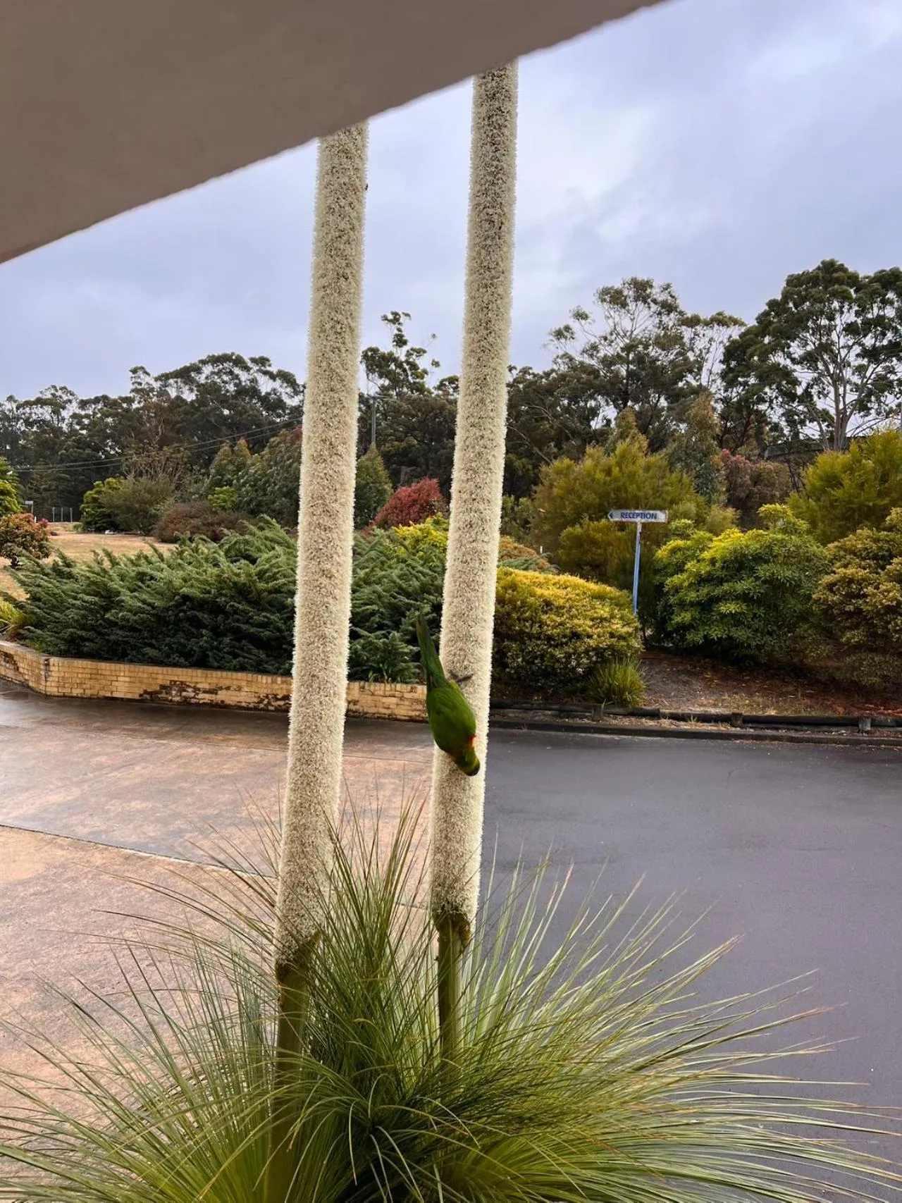 Property building in Bayview Motor Inn