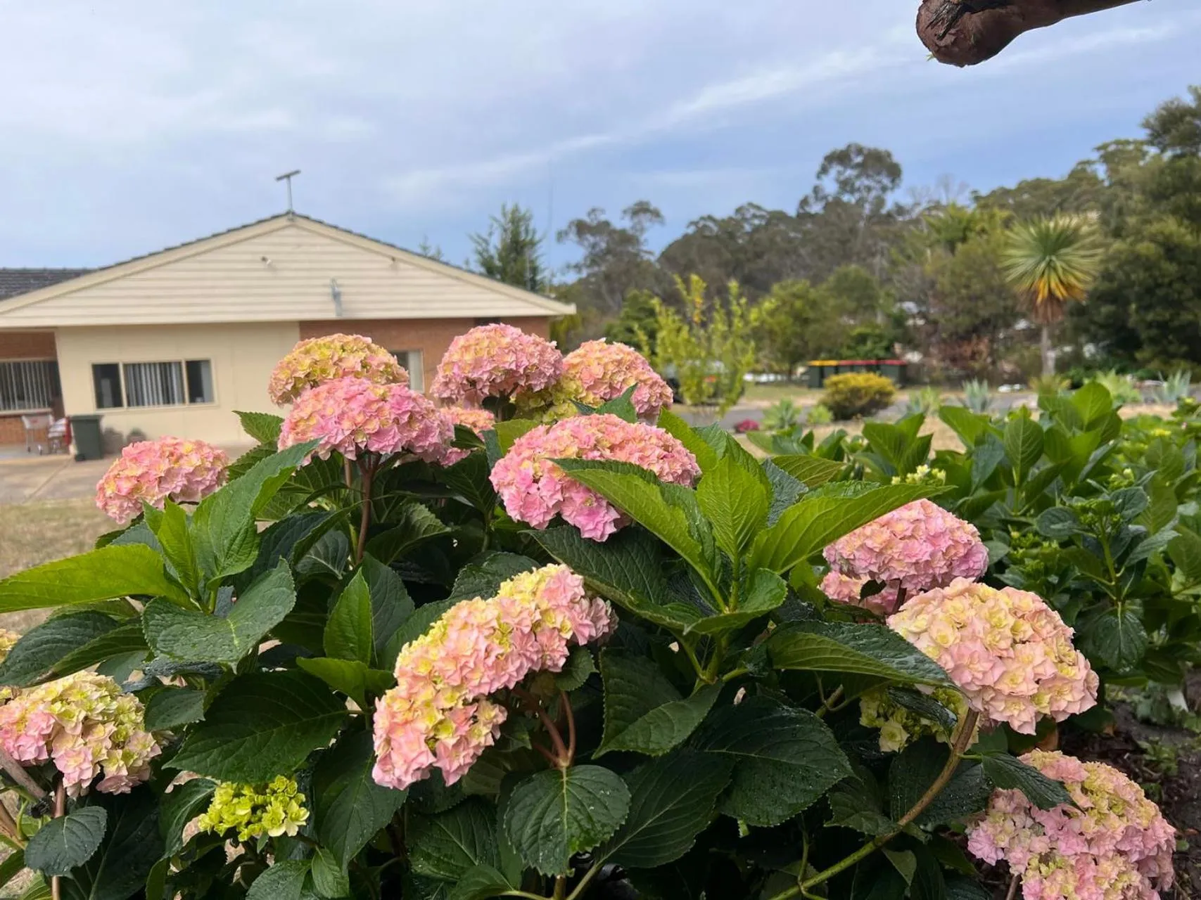 Property building in Bayview Motor Inn