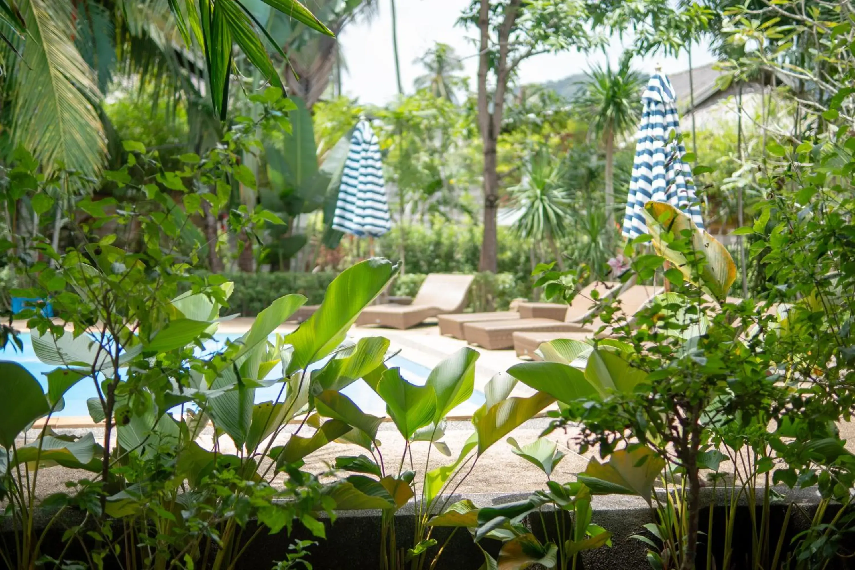 Superior Garden Loft in Long Beach Chalet - SHA Extra Plus Superior Garden Loft in Long Beach Chalet - SHA Extra Plus