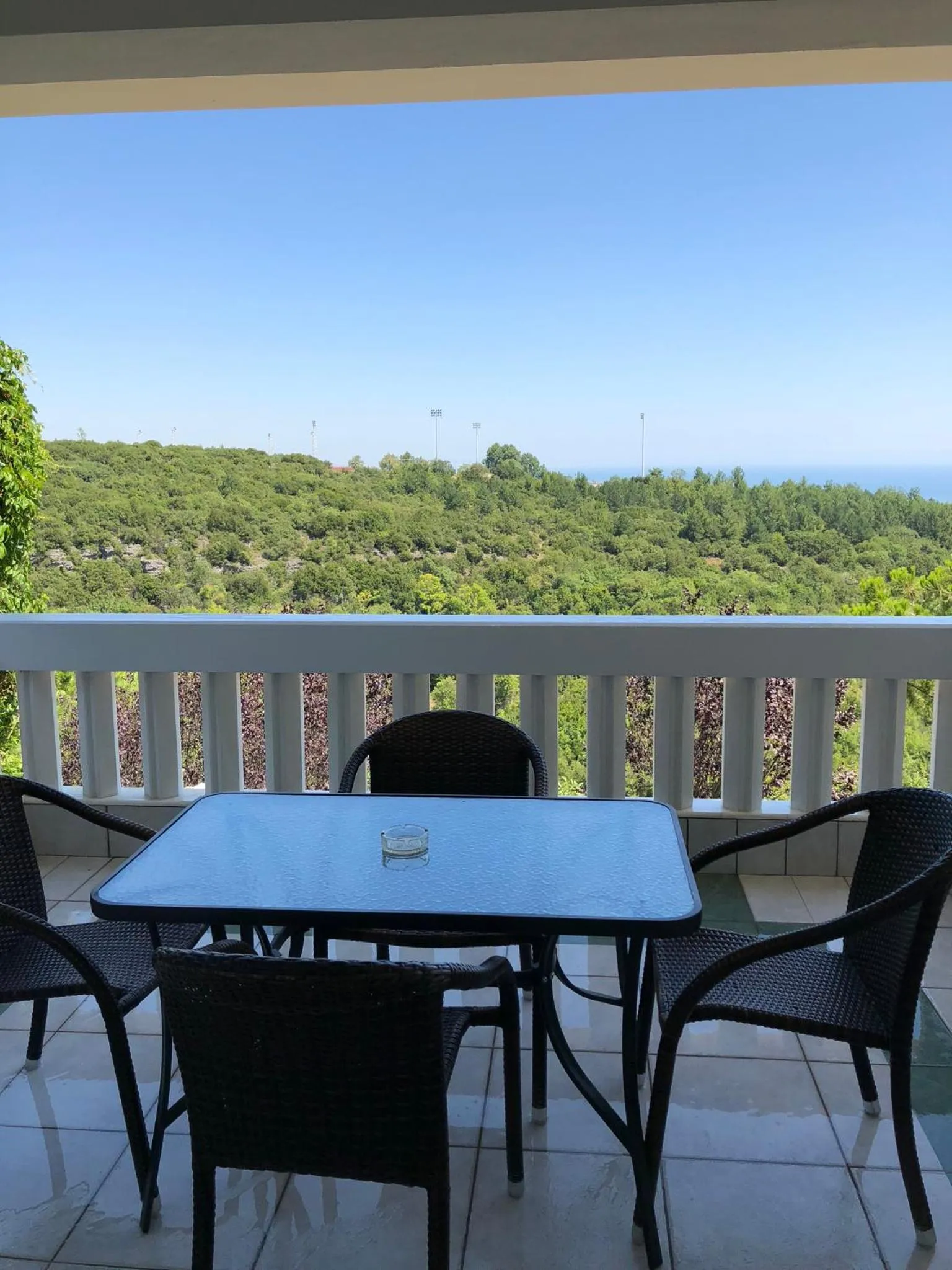 Balcony/Terrace in Villa Pantheon