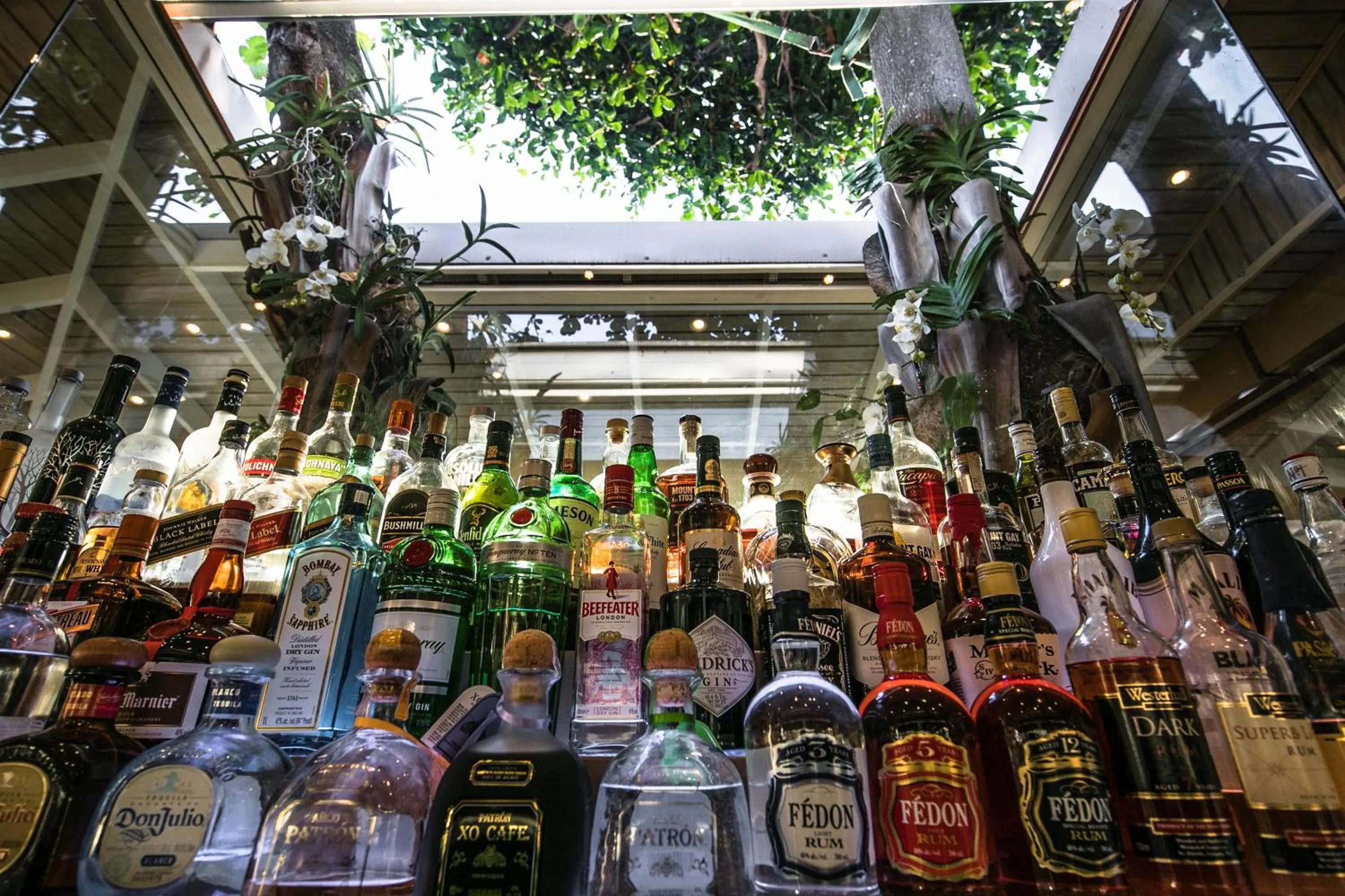 Lounge or bar in Secret Harbour Boutique Hotel and Marina