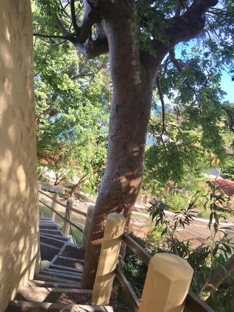 Natural landscape in Secret Harbour Boutique Hotel and Marina