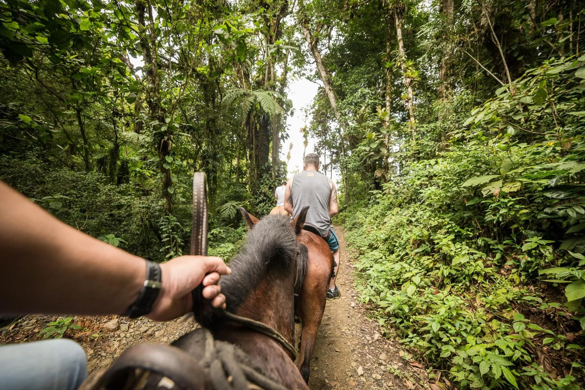 Property building in Hotel Fazenda Dona Francisca