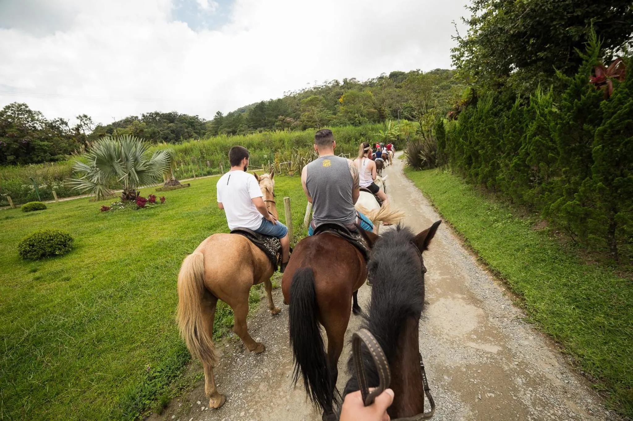 Property building in Hotel Fazenda Dona Francisca