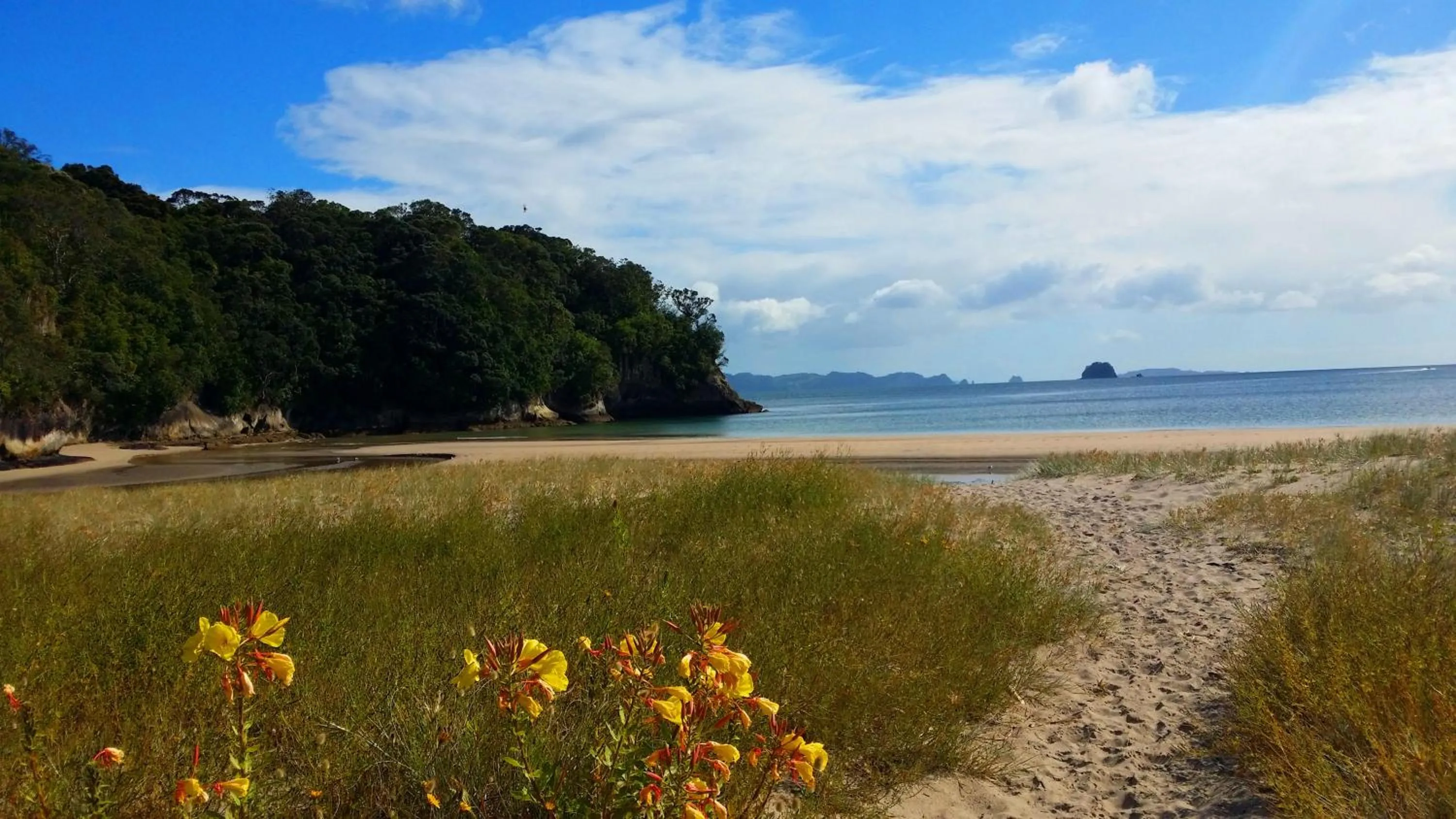 Hiking in Sovereign Pier On The Waterways