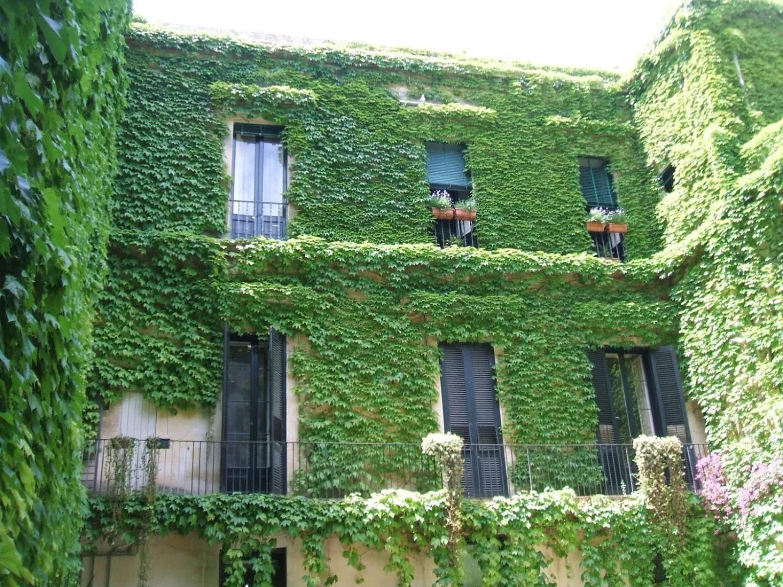 View (from property/room) in Palazzo Rollo