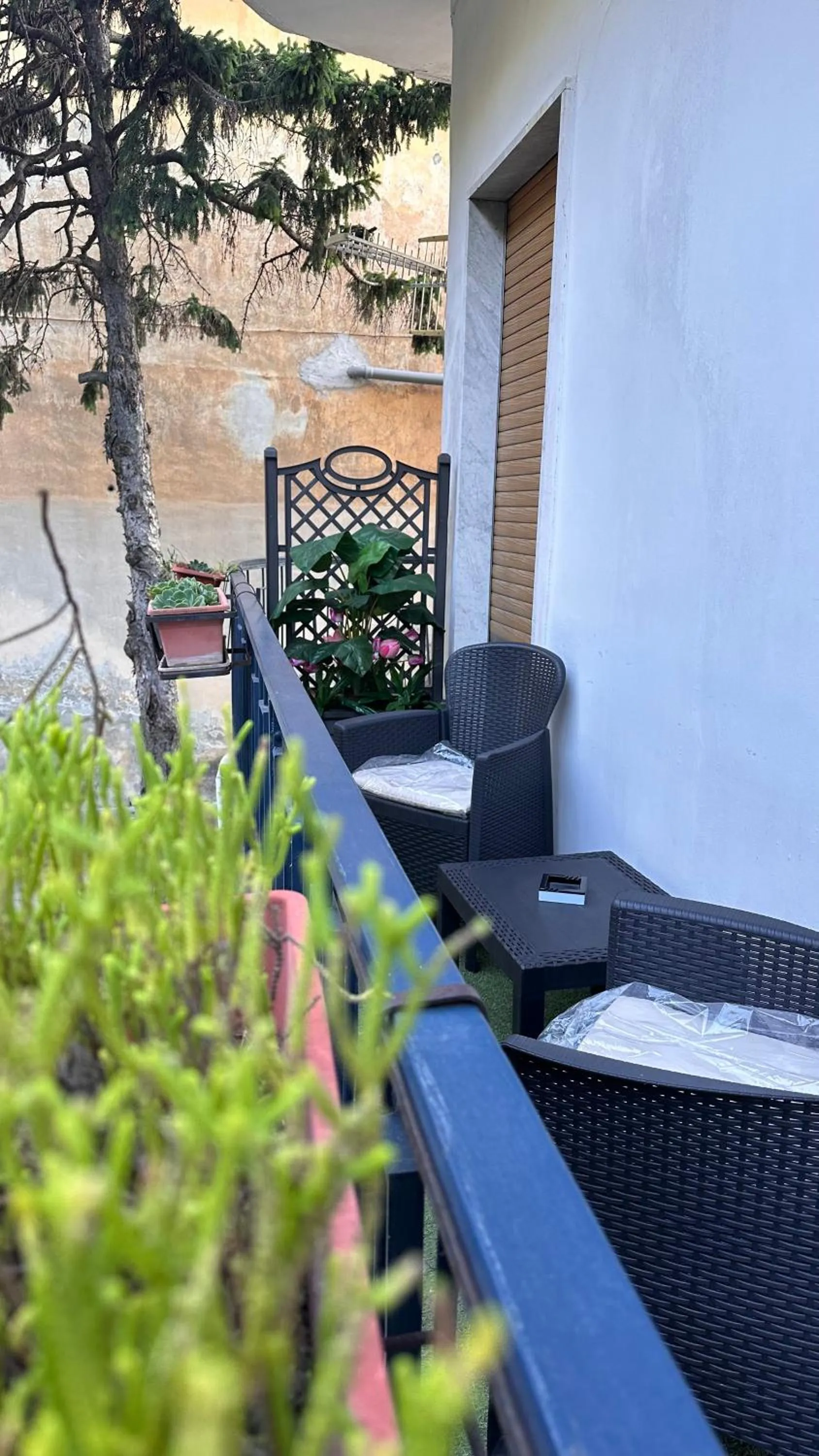 Balcony/Terrace in Laetitia Guest House32