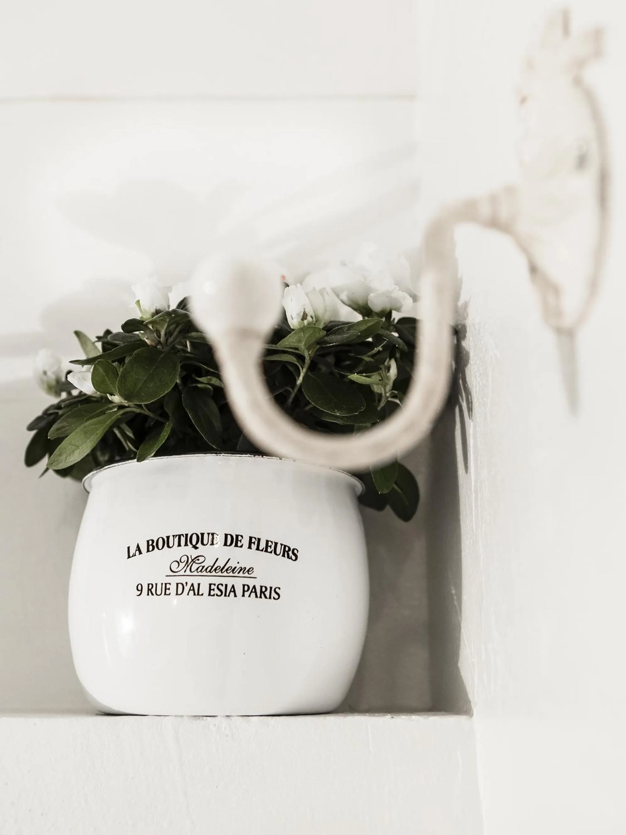 Decorative detail in Hotel Cervetta 5