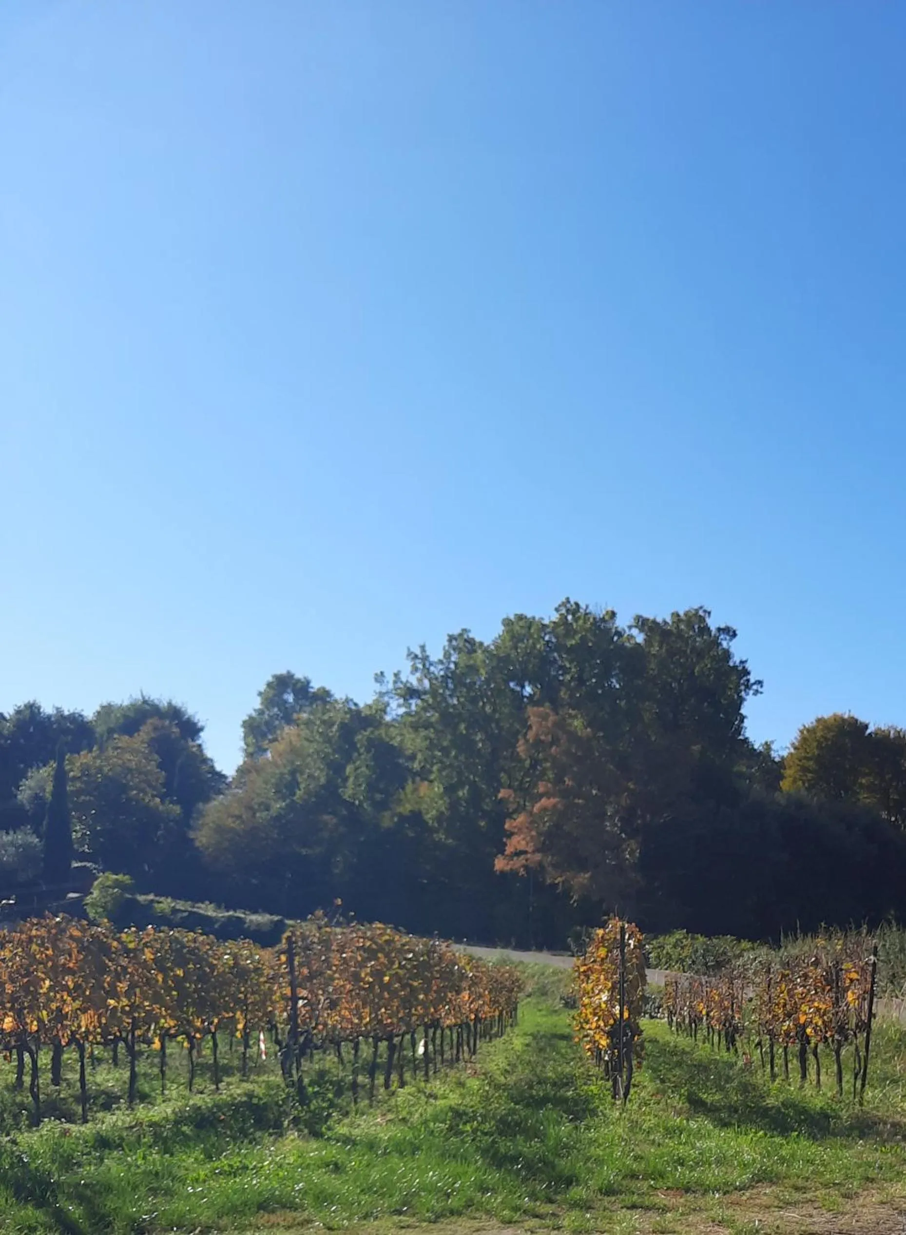 ACERO ROSSO B&B in Franciacorta