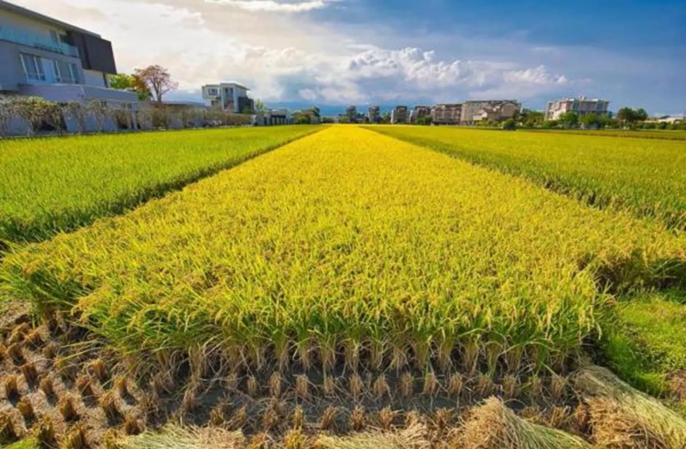 The Sunbeam Hideaway B&B