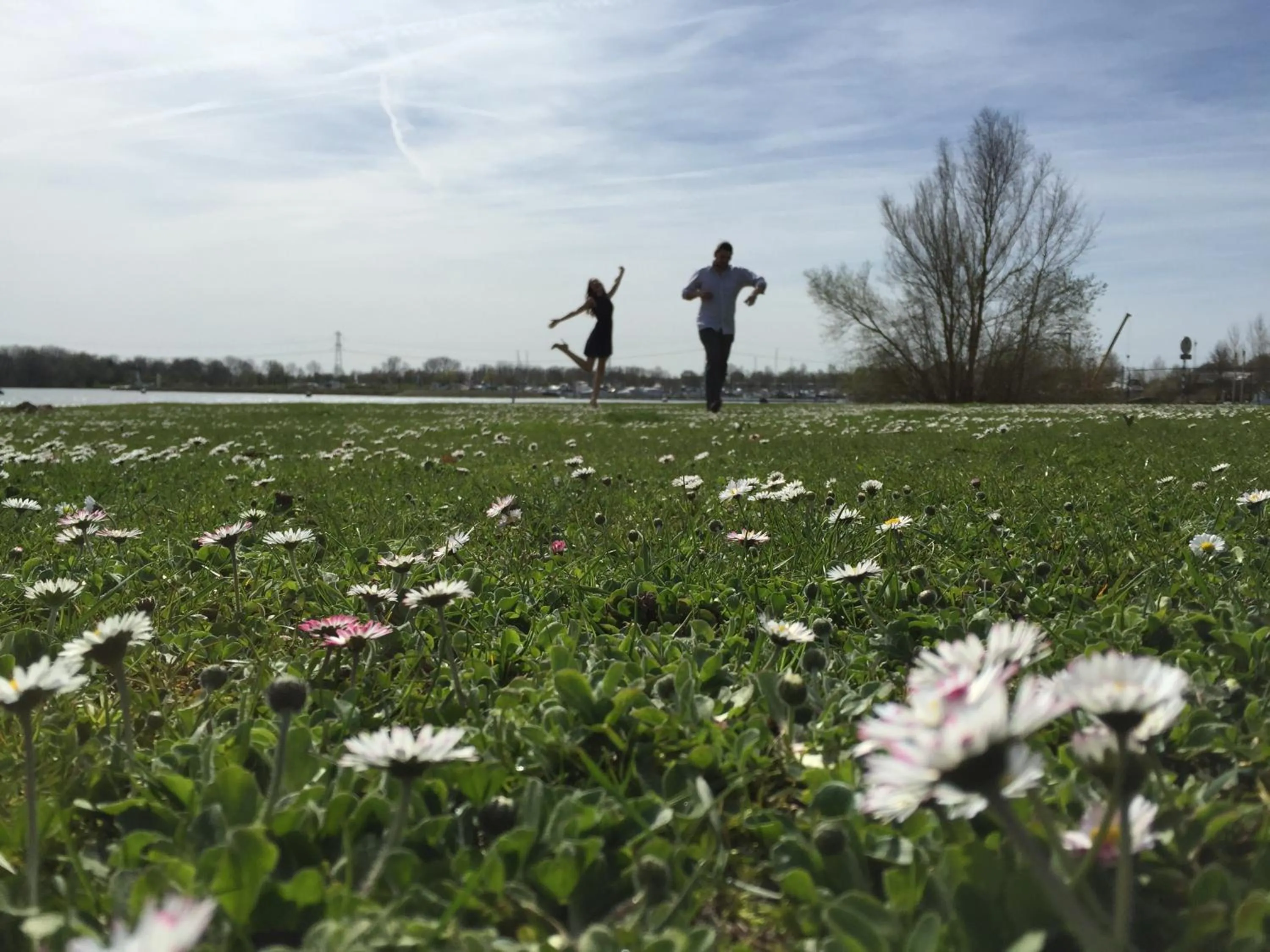 Area and facilities in Hotel De Maaskant