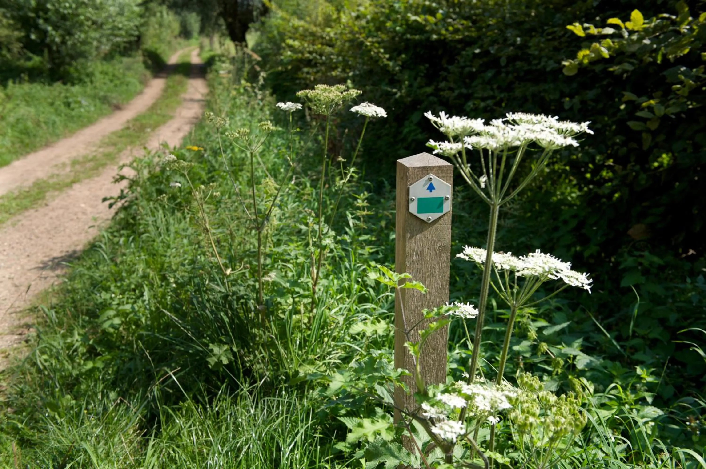 View (from property/room) in Hotel De Maaskant