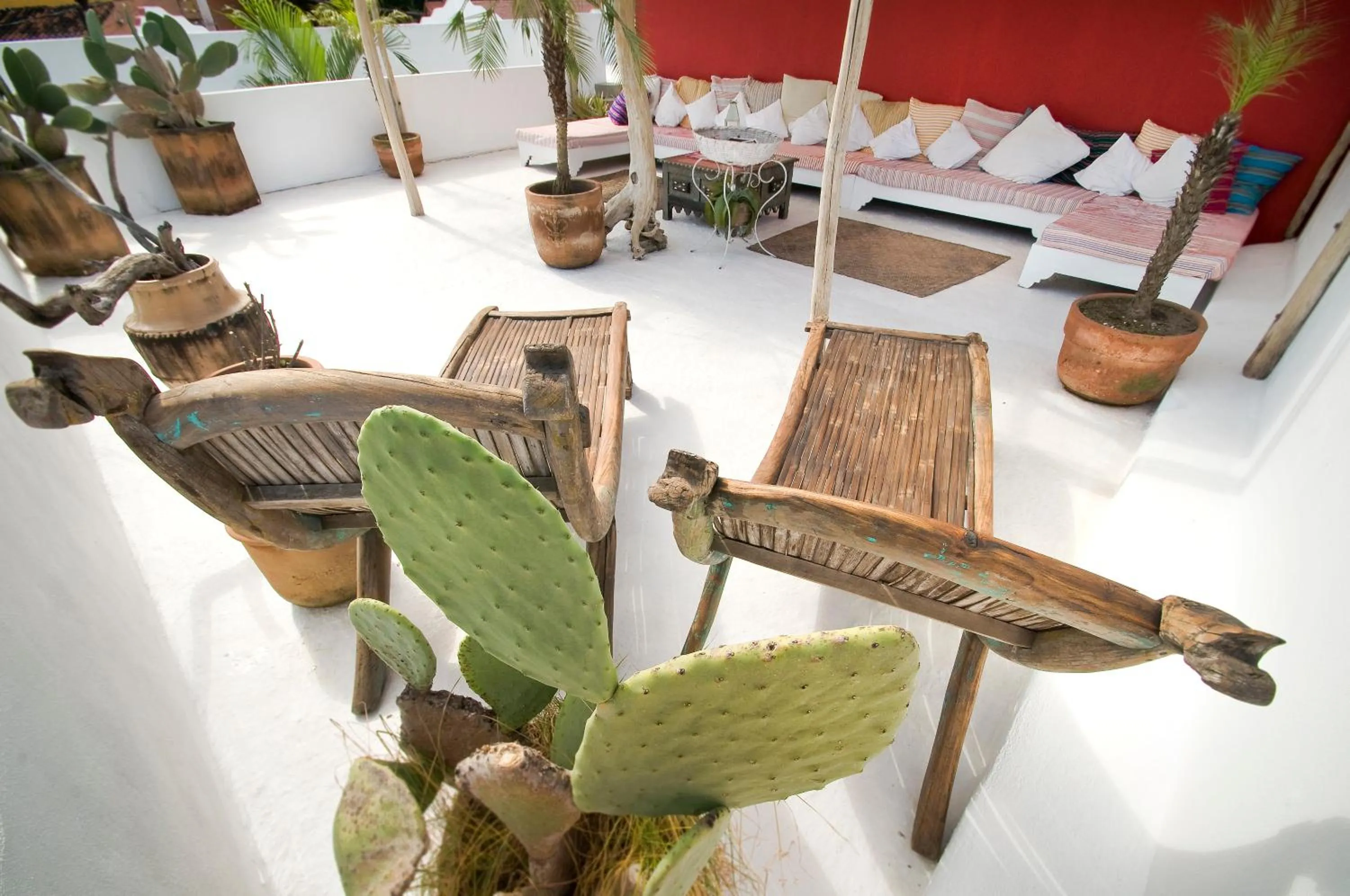 Patio in Petit Hotel Hafa