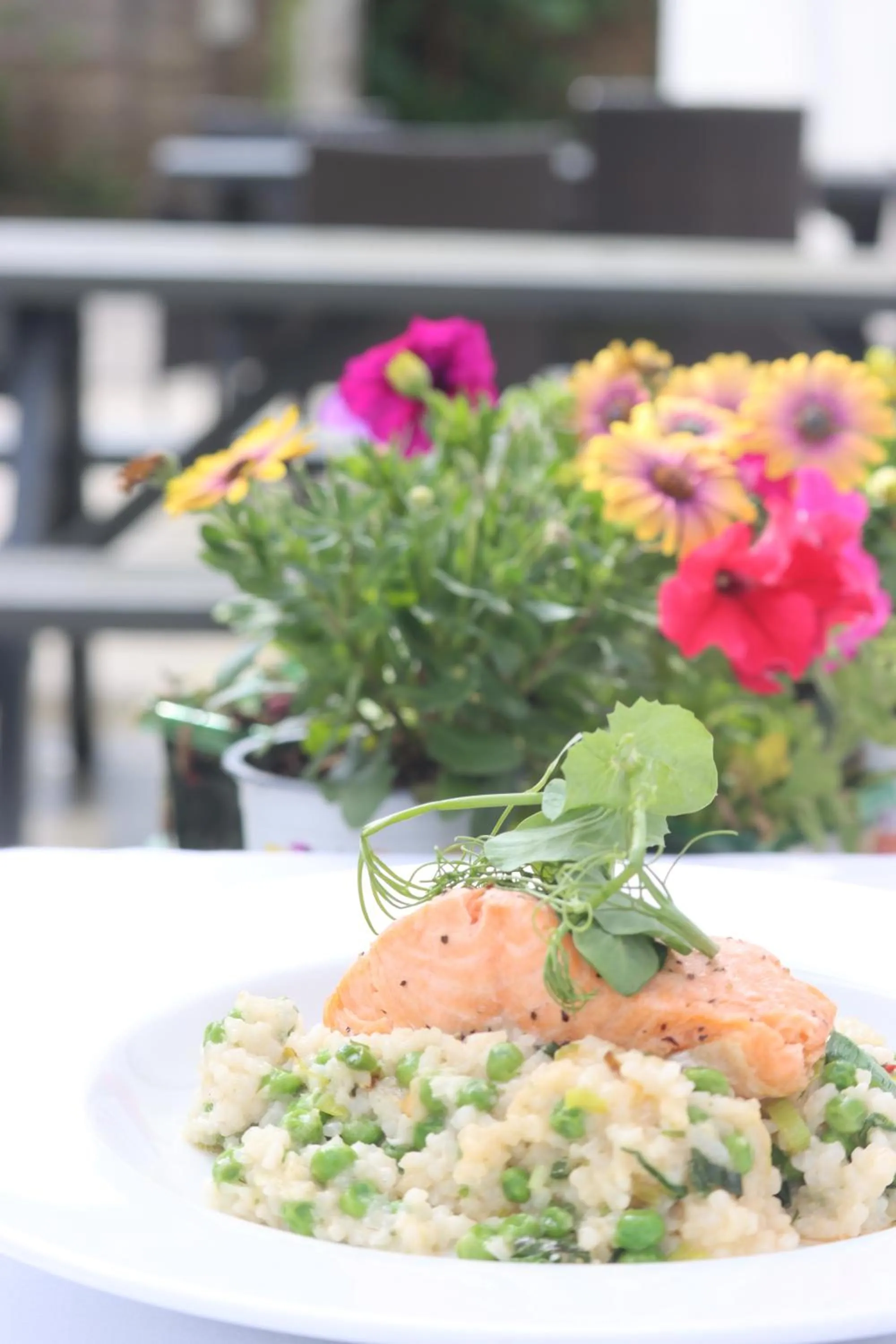 Food and drinks in The Castle Hotel