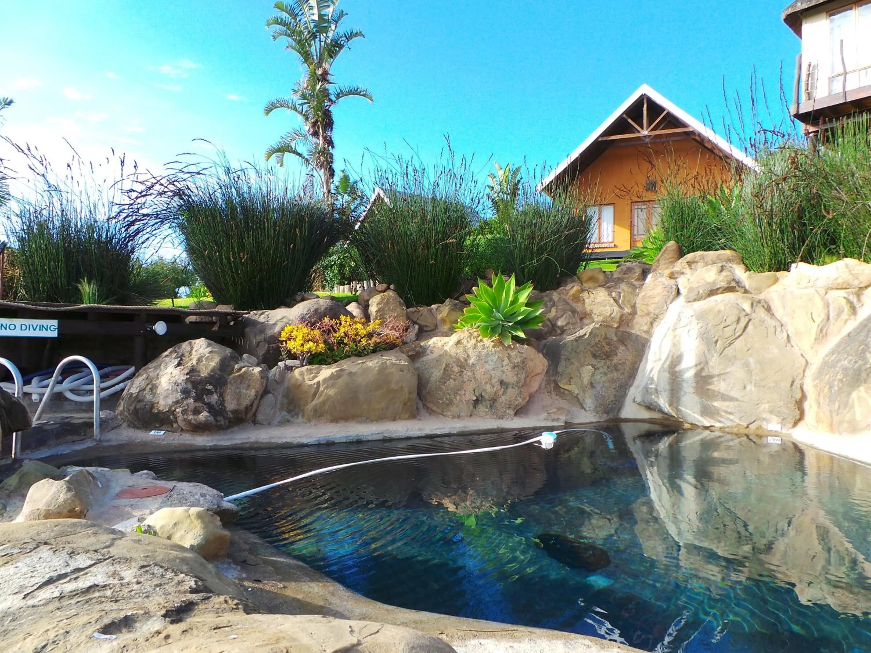 Decorative detail in Addo Dung Beetle Guest Farm
