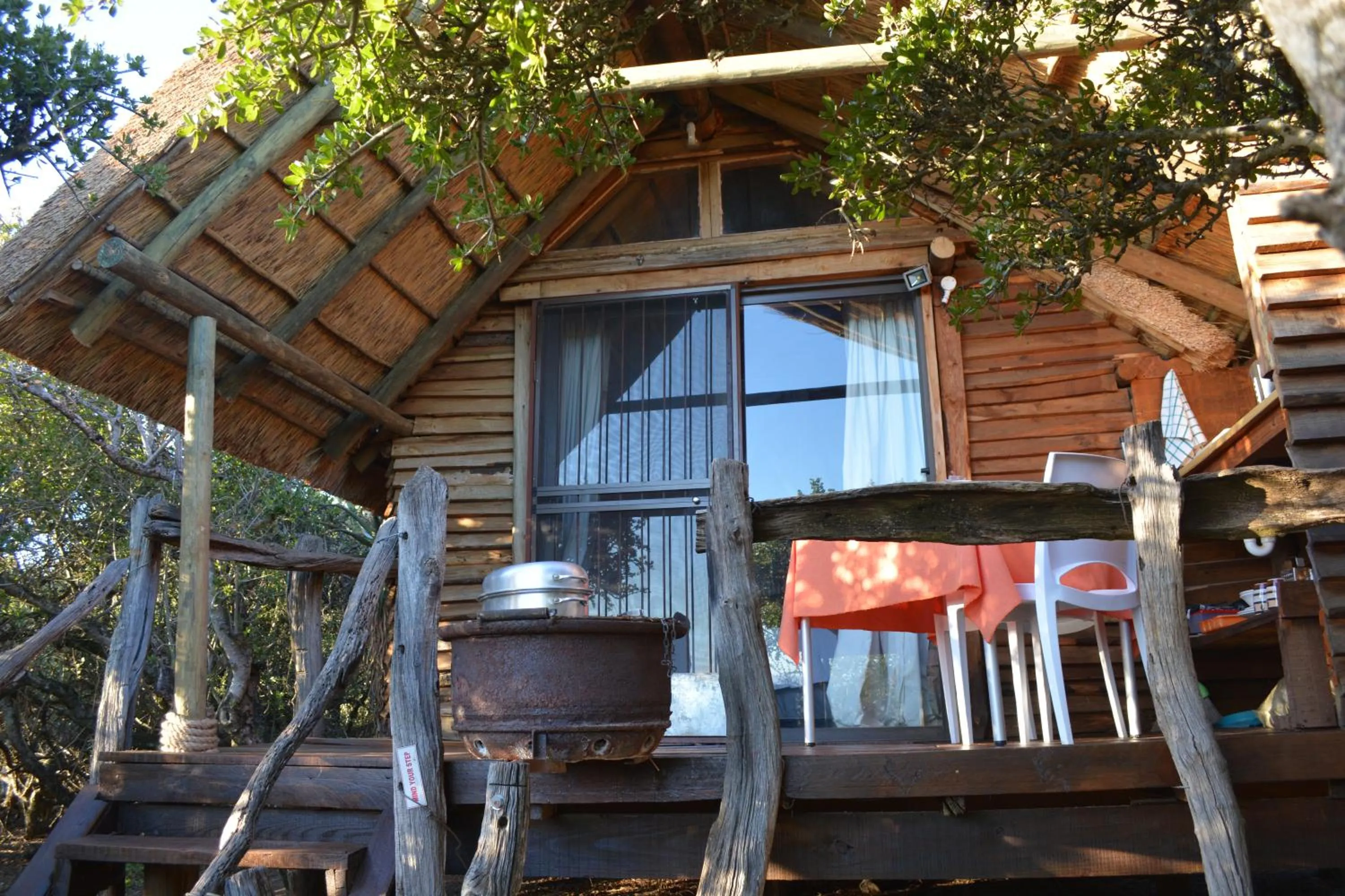 Day in Addo Dung Beetle Guest Farm