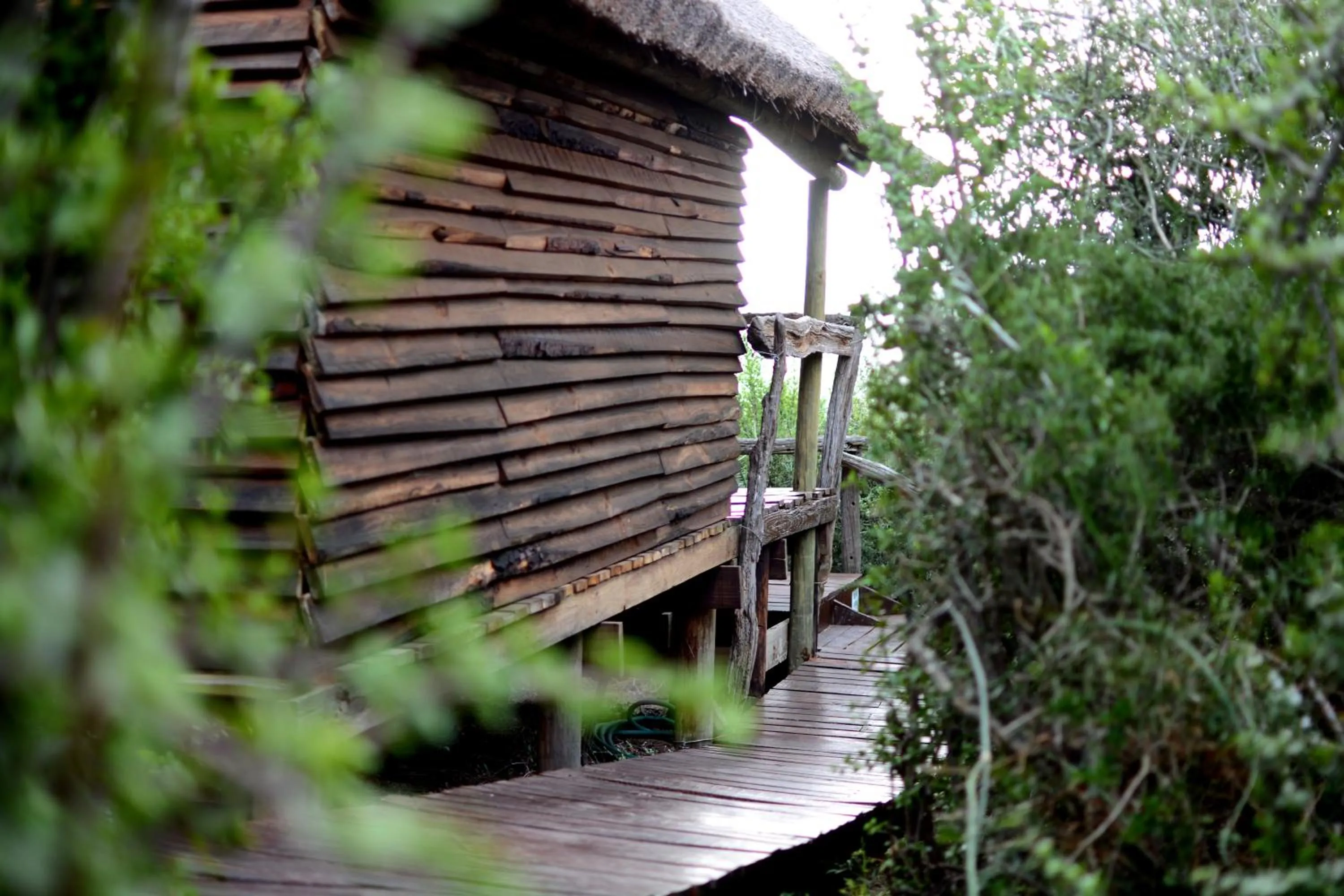 BBQ facilities in Addo Dung Beetle Guest Farm