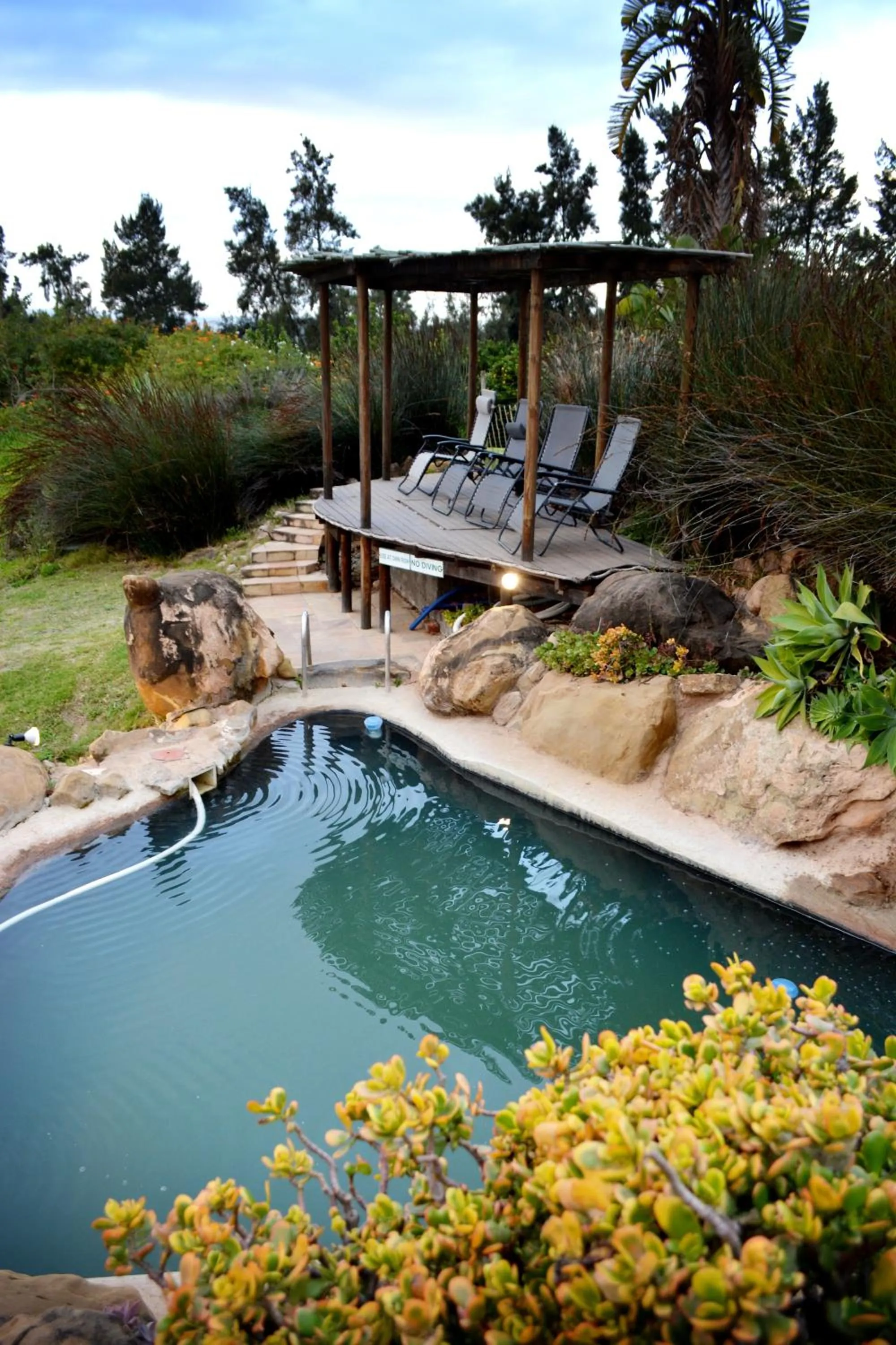 Swimming pool in Addo Dung Beetle Guest Farm