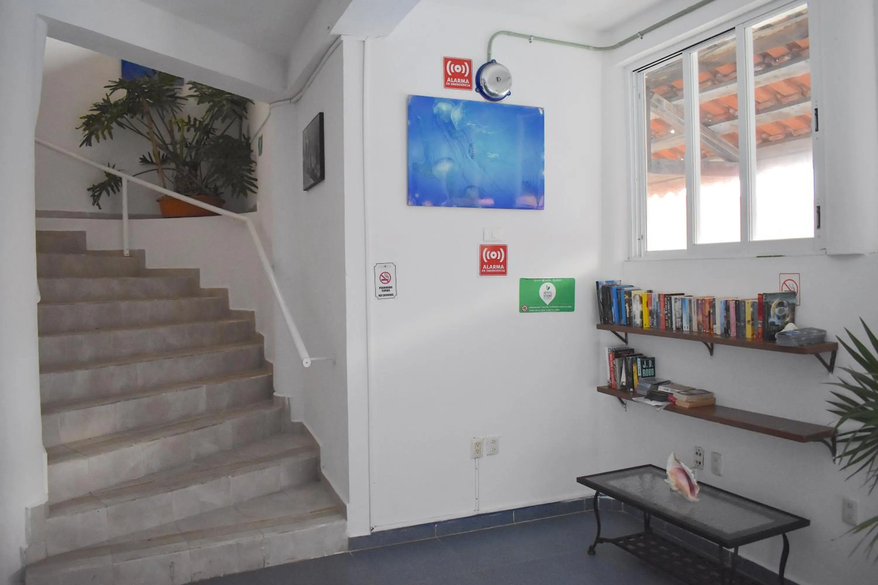 Library in Plaza Almendros Hotel Isla Mujeres