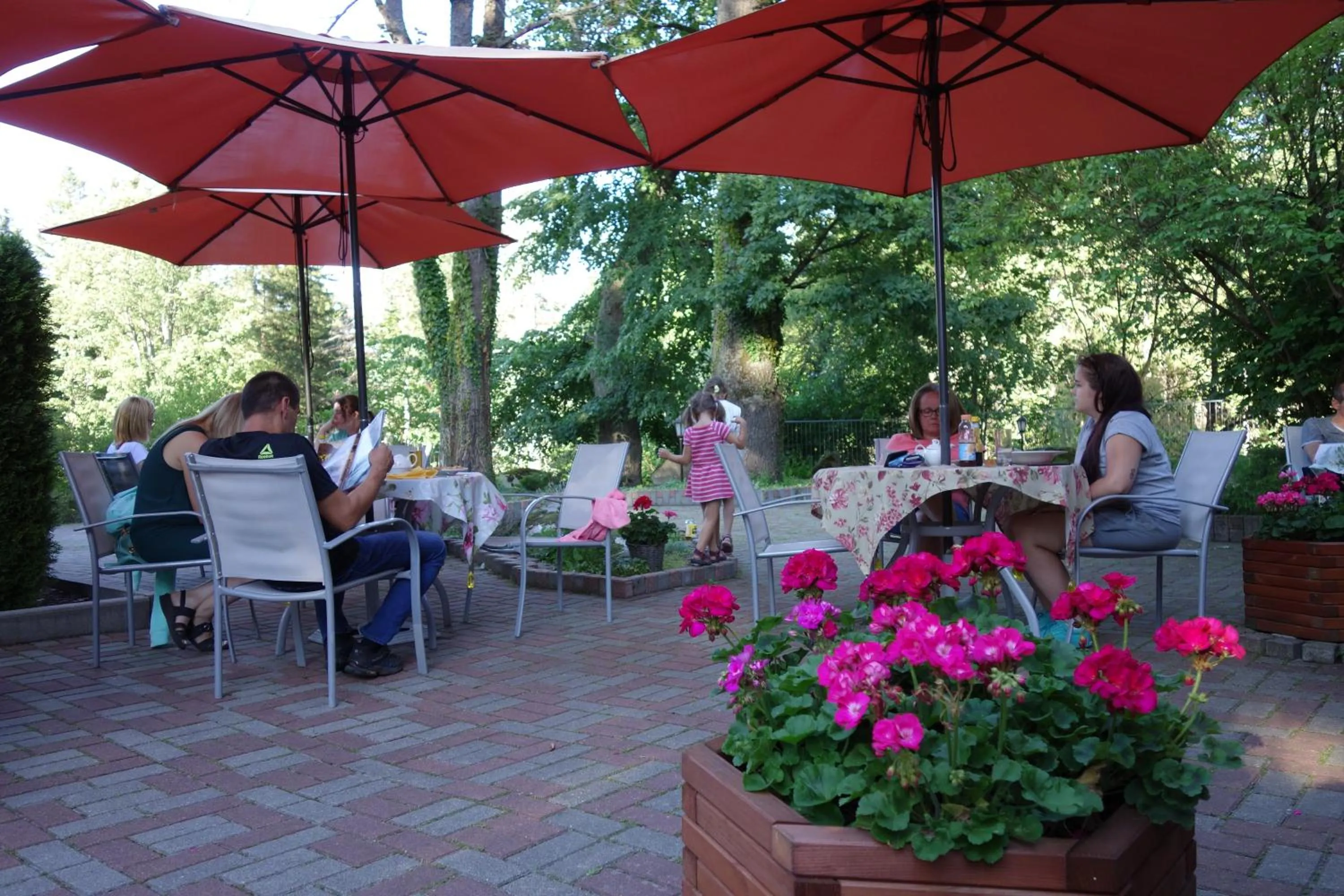 Restaurant/places to eat in Hotel Magnes