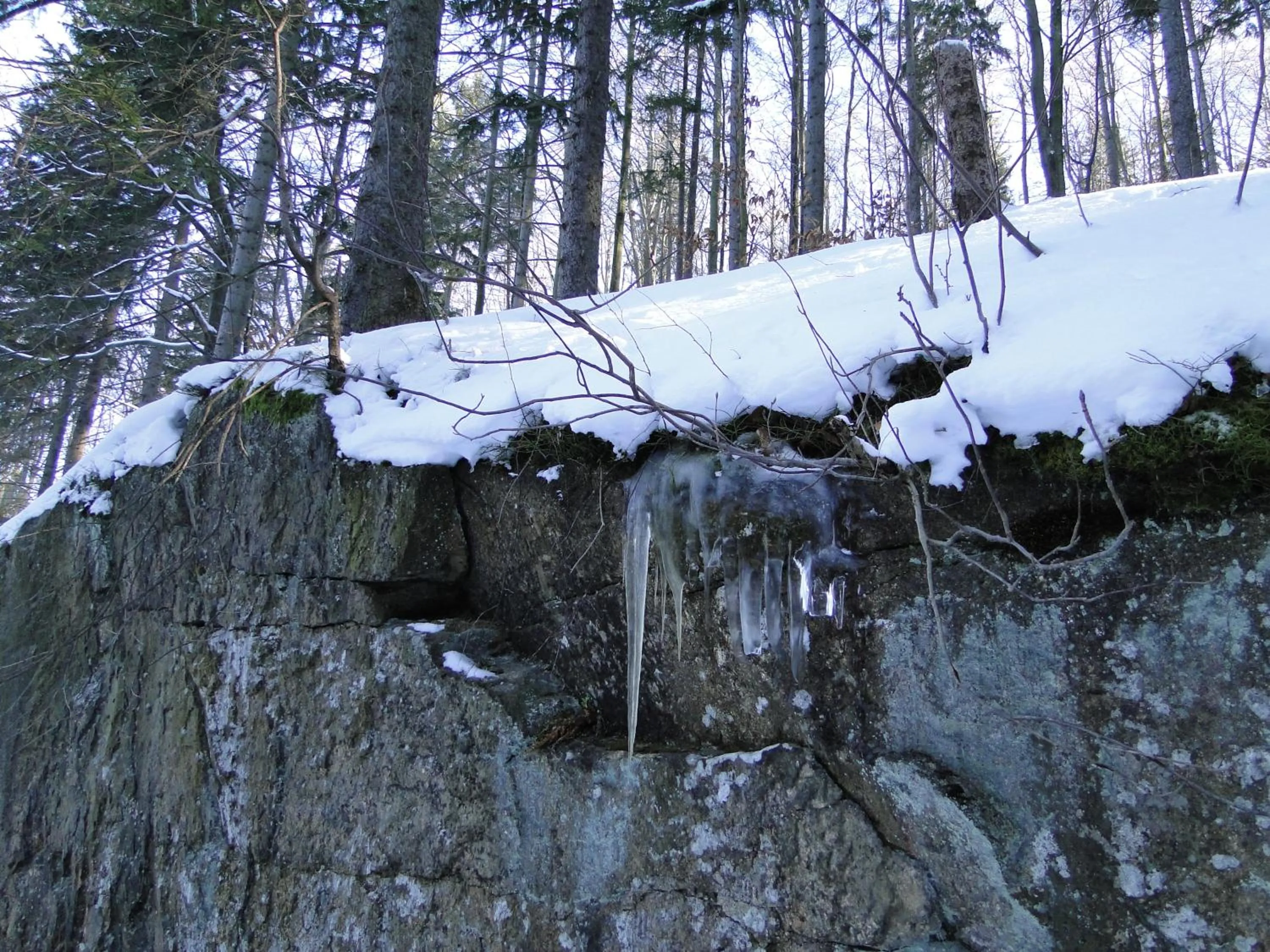 Off site in Hotel Magnes