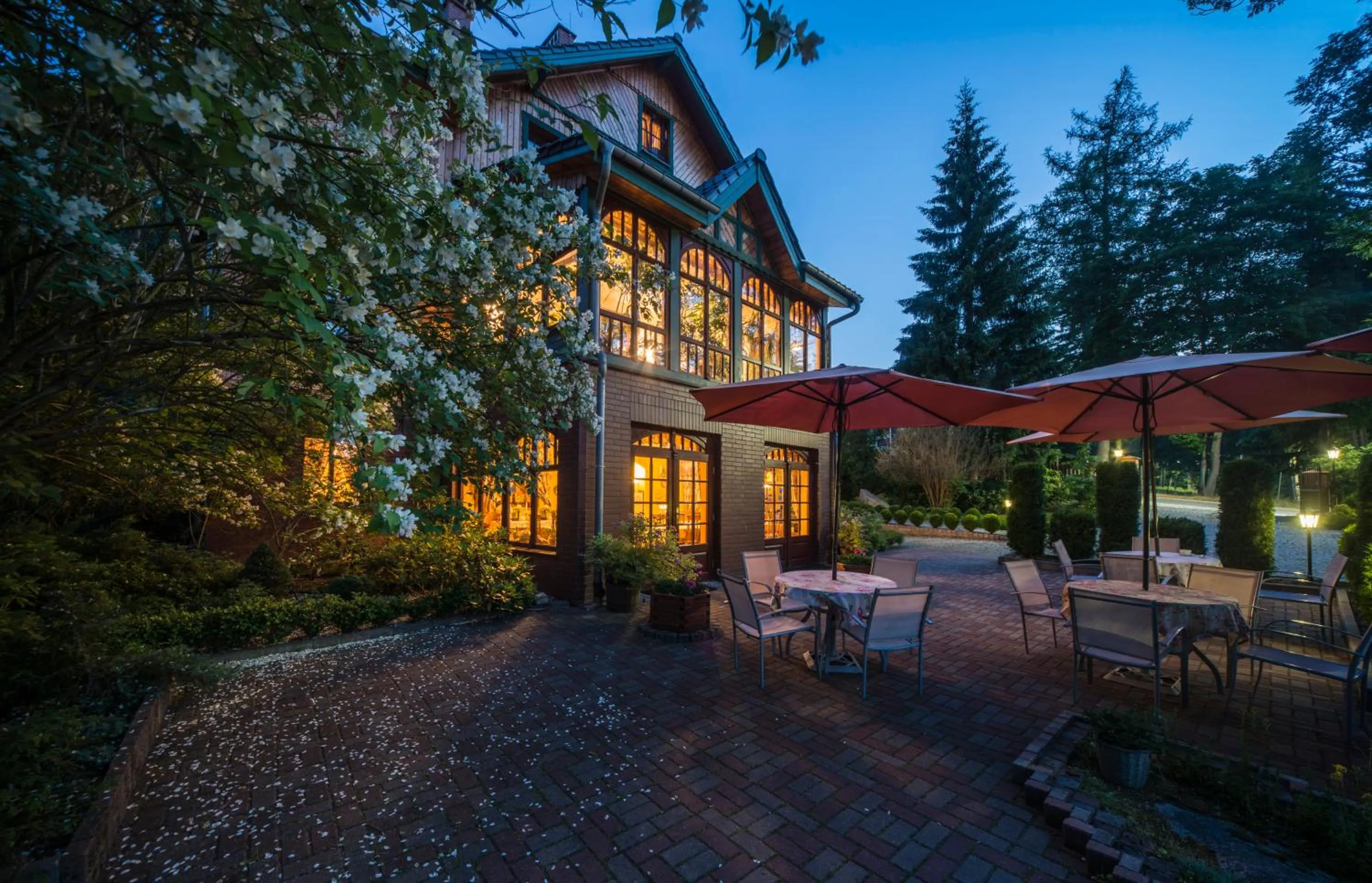 Restaurant/places to eat in Hotel Magnes