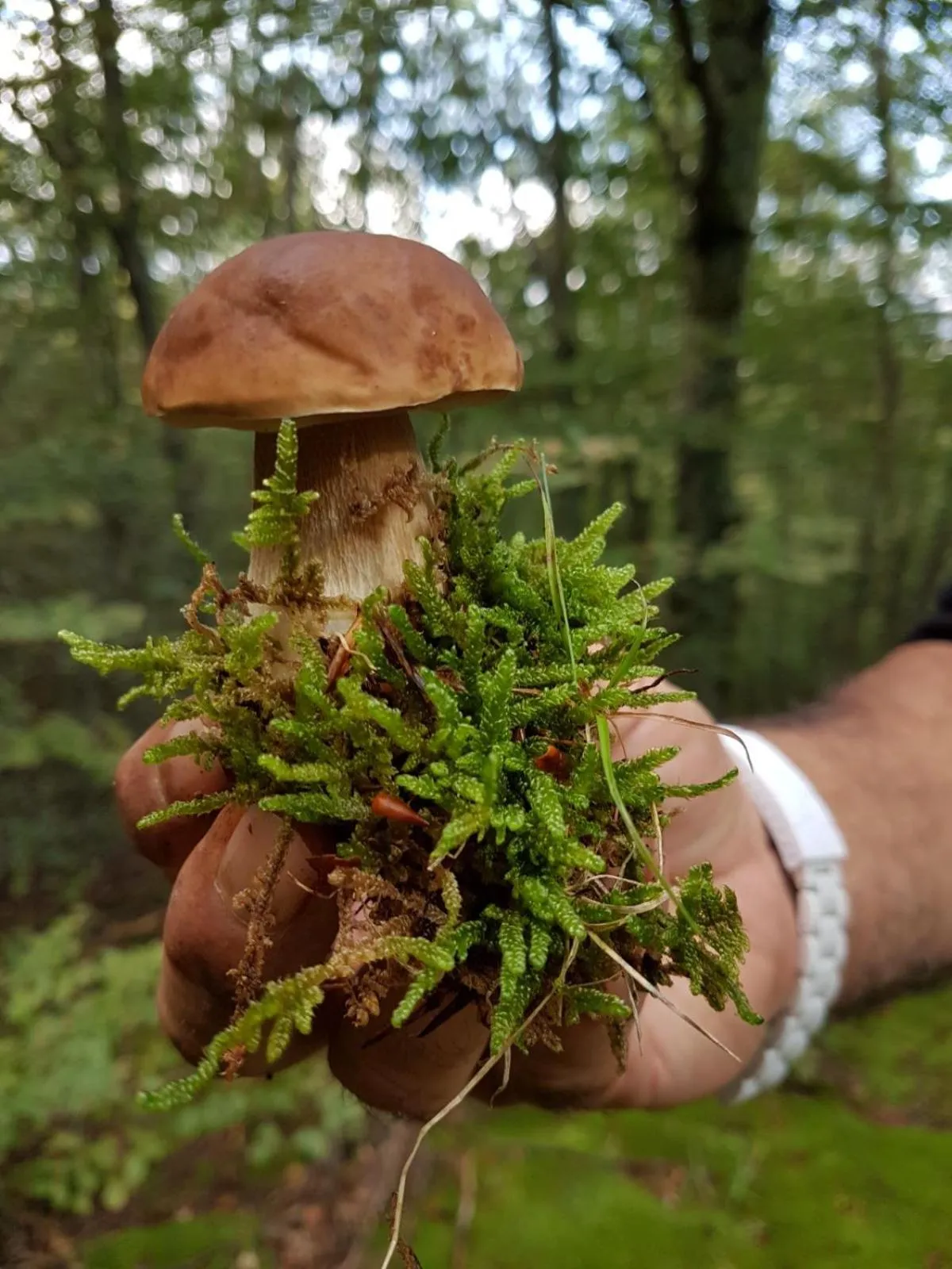 Hiking in Il Vicoletto