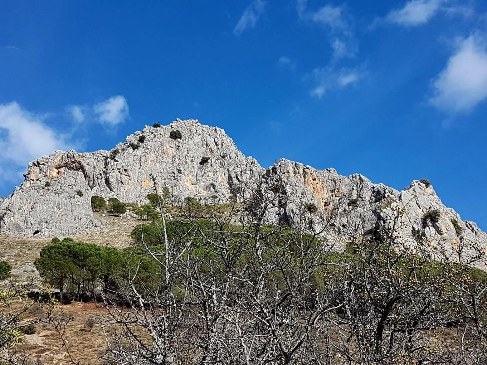 Property building in Il Vicoletto