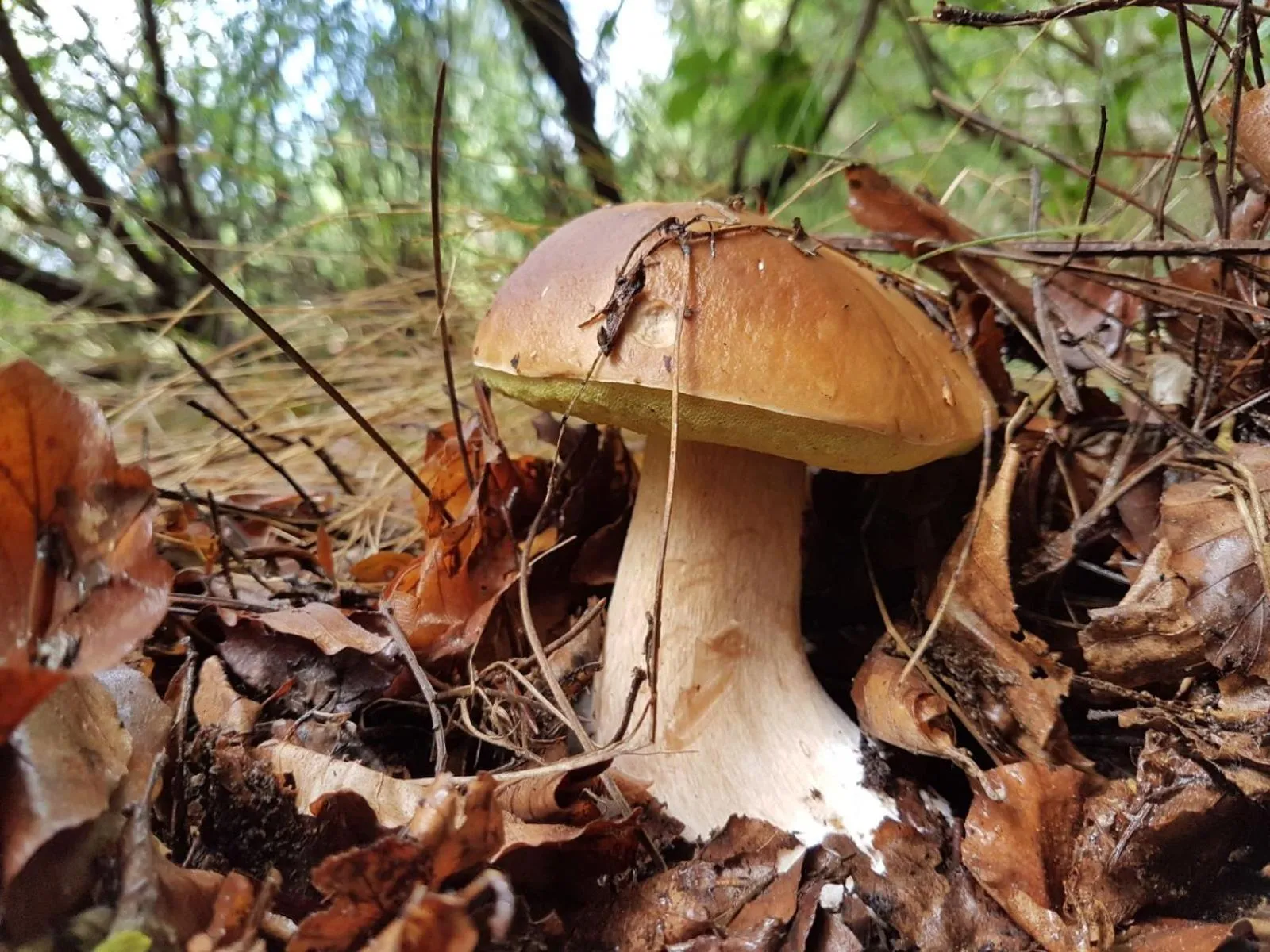 Hiking in Il Vicoletto